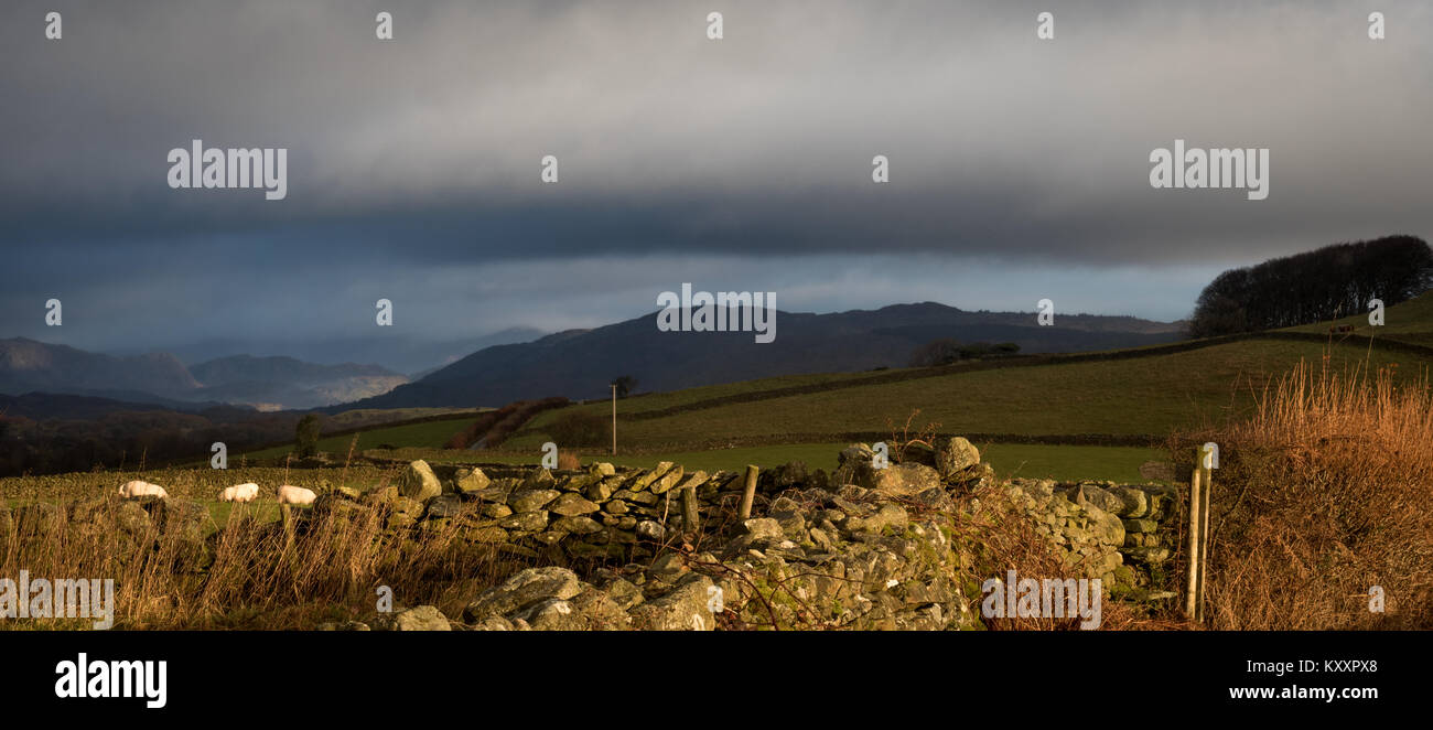 Looking over the fields towards Lowick Beacon and the Furness Fells beyond.  Coniston Water is just nestled out of sight hidden in the folds of the la Stock Photo