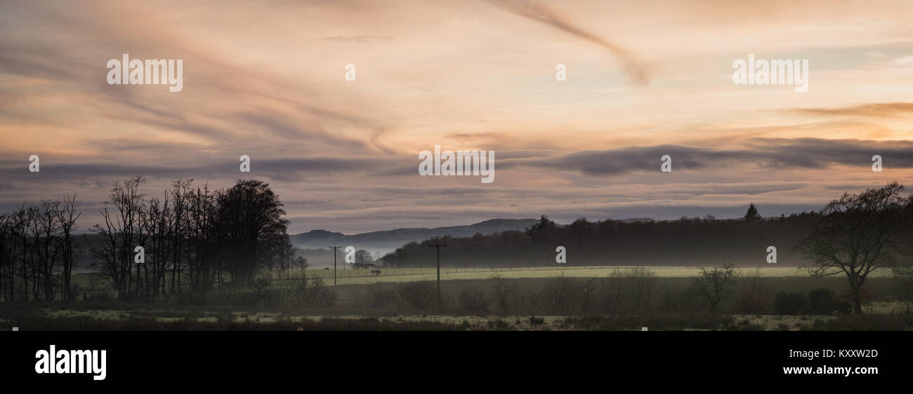 Torwood near Lockerbie in Dumfies and Galloway, Scotland. Stock Photo