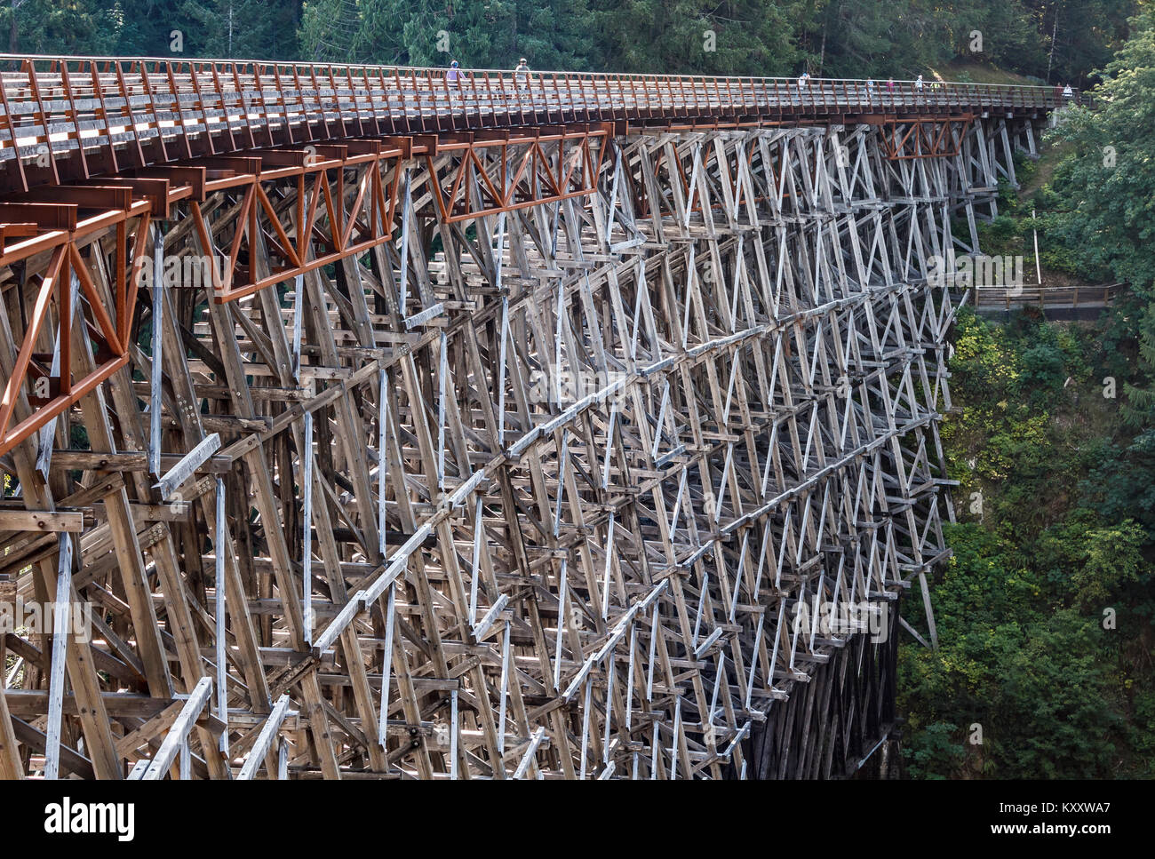 On a summer day cyclists and walkers enjoy Kinsol Trestle, an old railway crossing restored as a popular trail, crossing high over the Koksilah River. Stock Photo