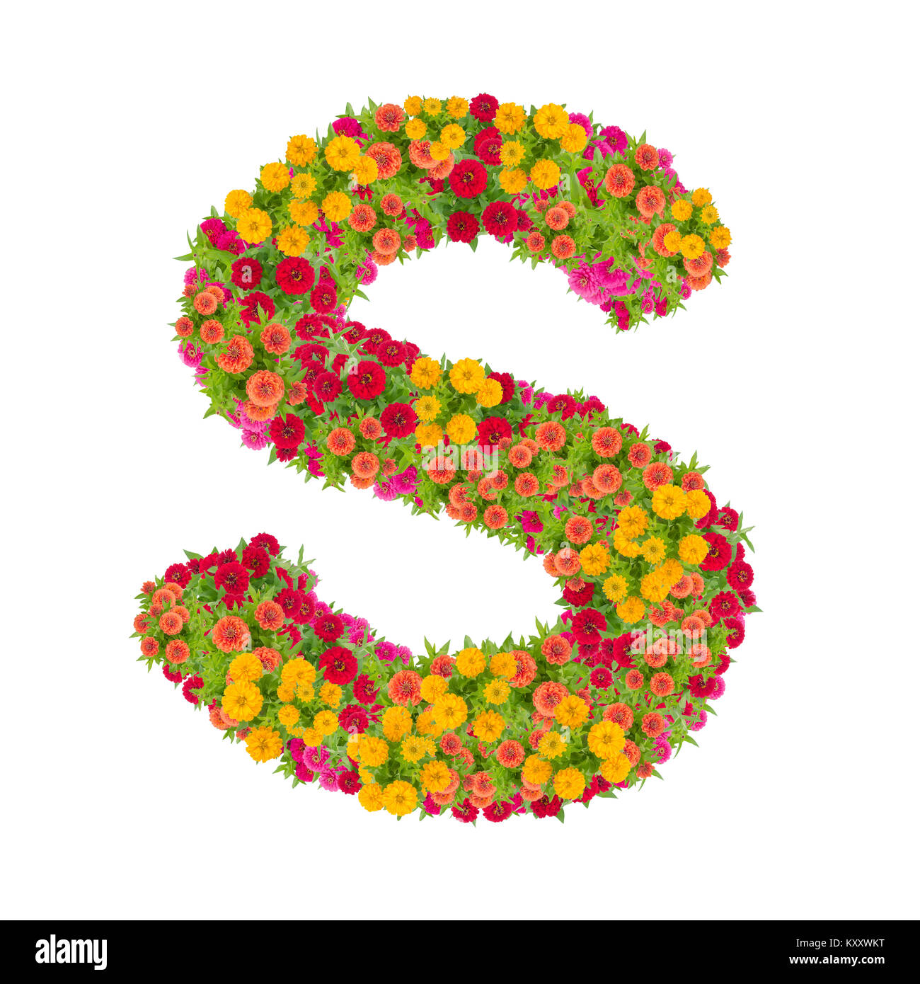 Letter S alphabet made from zinnia flower ABC concept type as logo ...