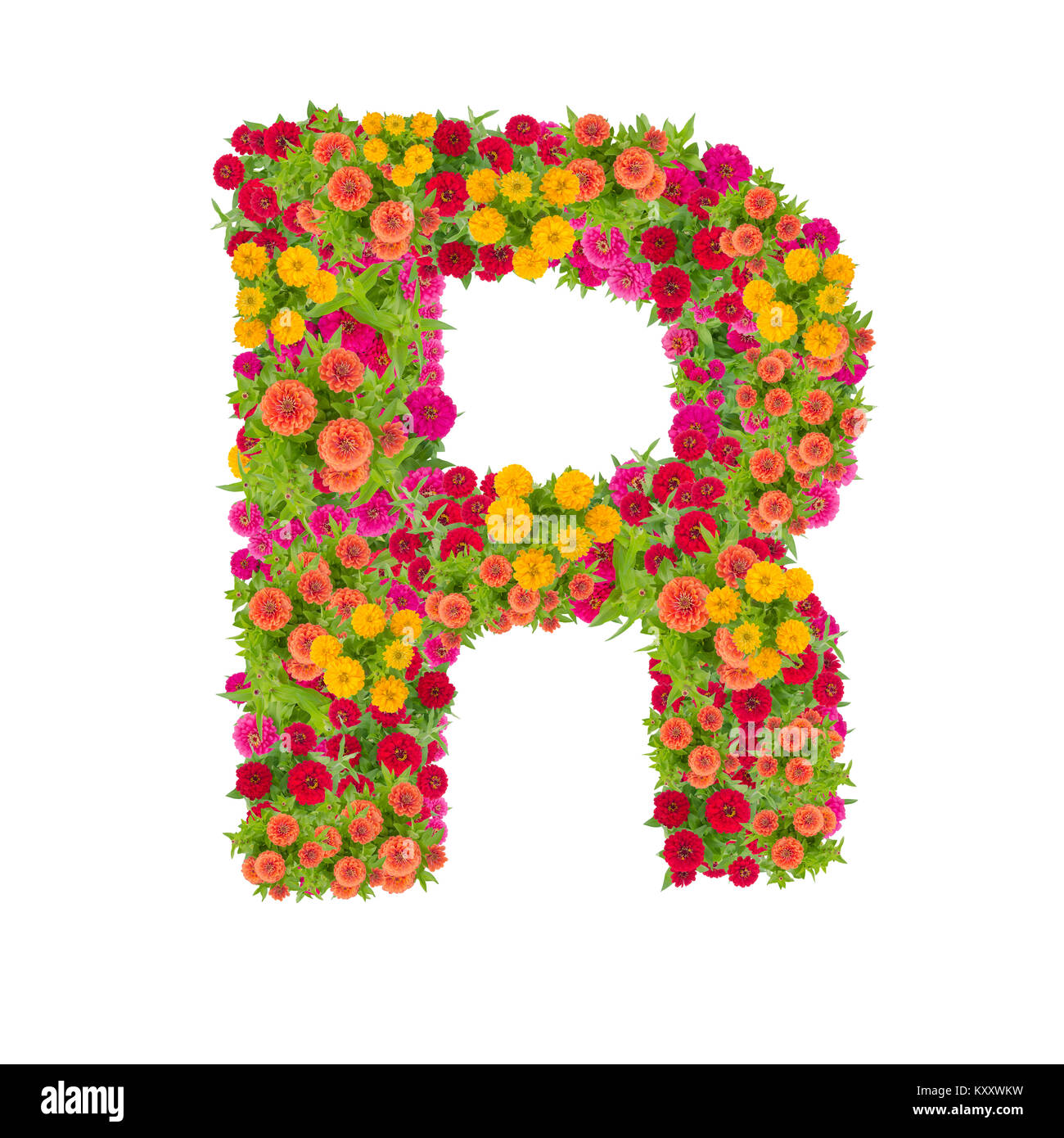Letter R alphabet made from zinnia flower ABC concept type as logo.Typography design with clipping path Stock Photo