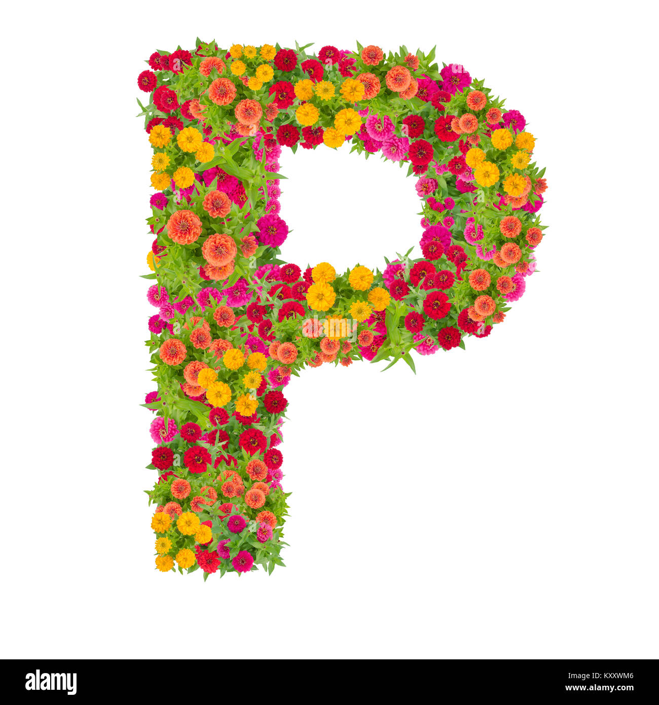 Letter P alphabet made from zinnia flower ABC concept type as logo ...