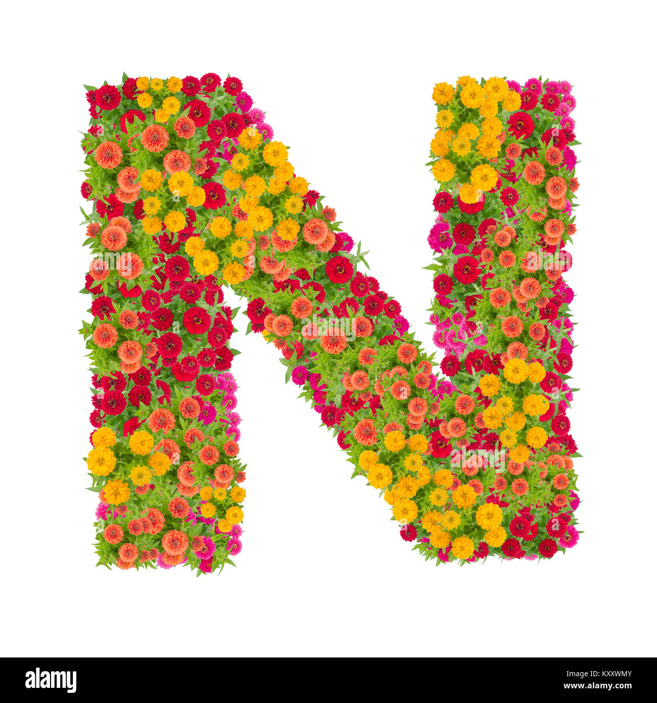 Letter N alphabet made from zinnia flower ABC concept type as logo ...