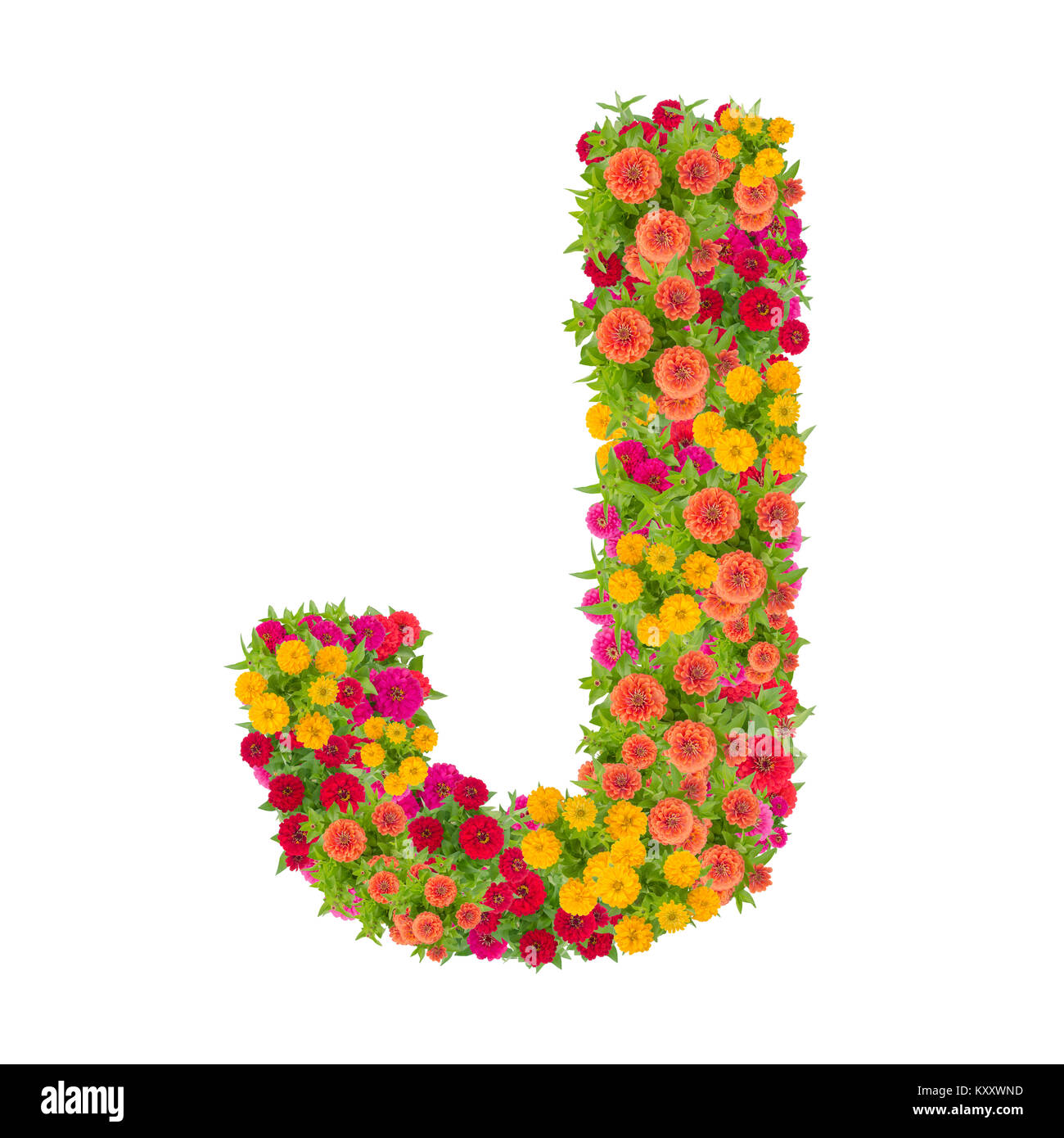 Letter J alphabet made from zinnia flower ABC concept type as logo ...