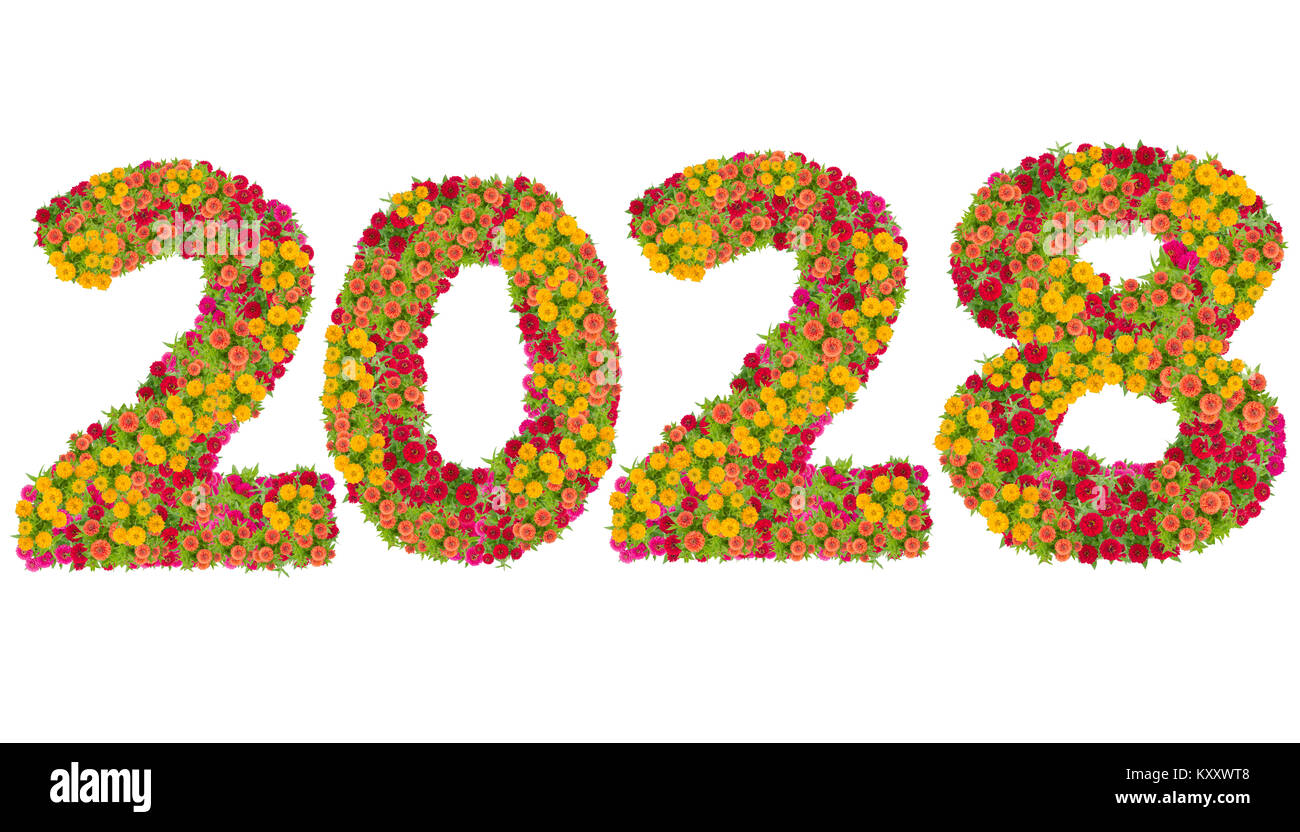 Numbers 2028 made from Zinnias flowers isolated on white background with clipping path. Happy new year concept Stock Photo