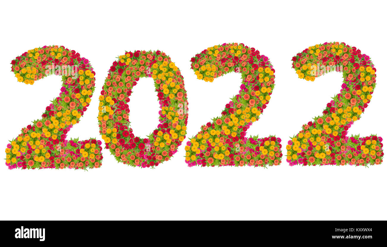 Numbers 2020 made from Zinnias flowers isolated on white background with clipping path. Happy new year concept Stock Photo
