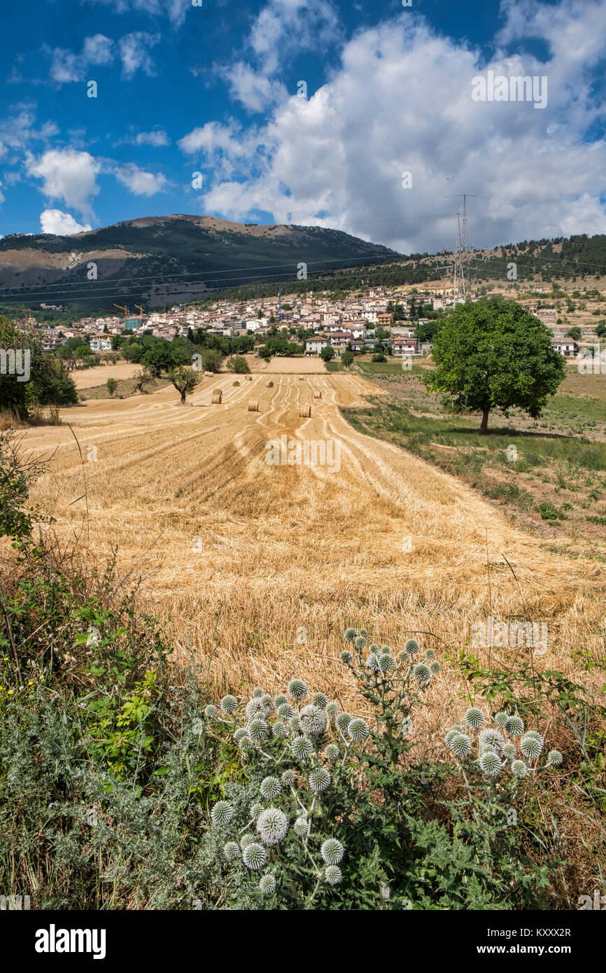 Barisciano (L'Aquila, Abruzzi, Italy), panoramic view of the historic town at summer Stock Photo