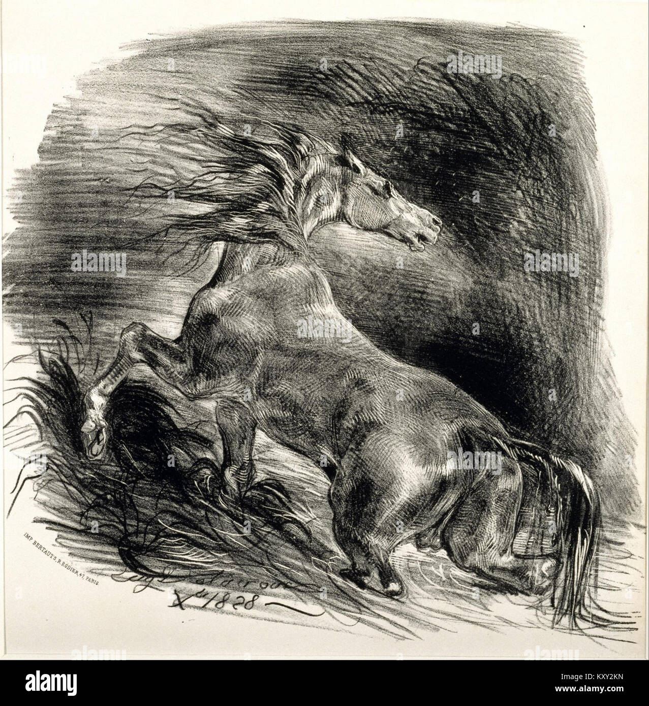 Eugène Delacroix - Cheval sauvage - Google Art Project Stock Photo