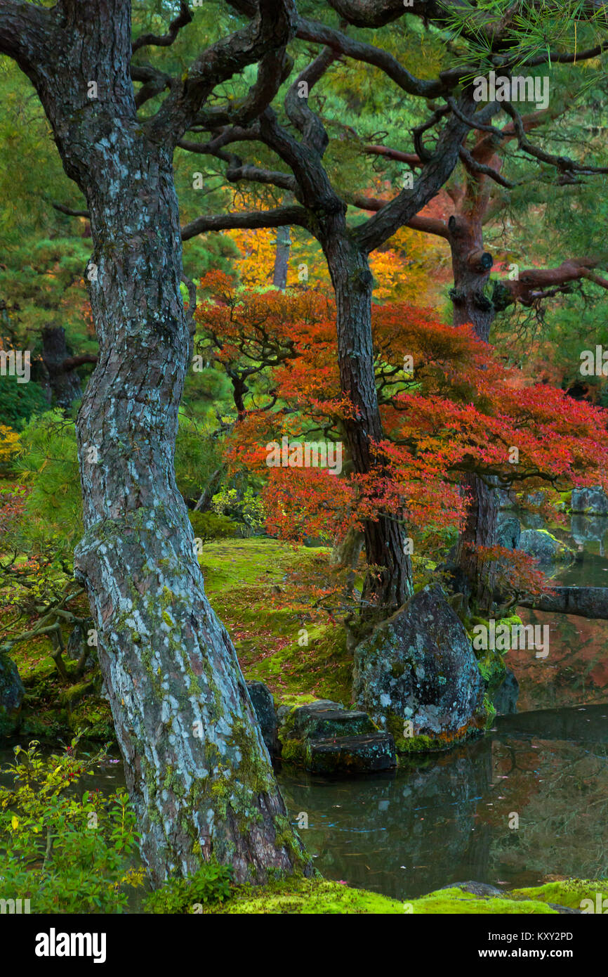 The World Heritage Site of the Ginkakuji garden in Kyoto, Japan. Fall. Stock Photo