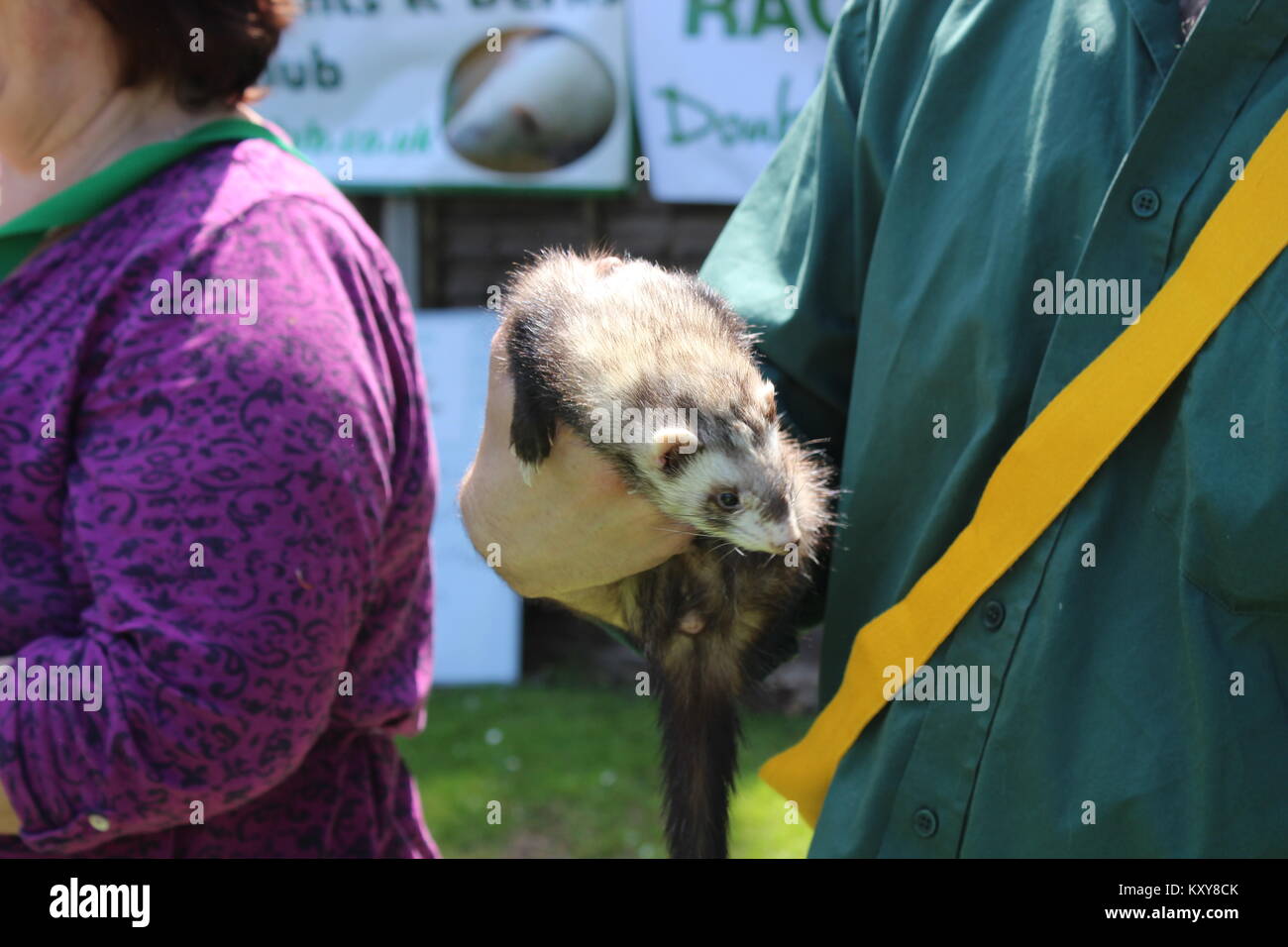 The Lands End Pub, Ferret Race, Woodley Stock Photo - Alamy
