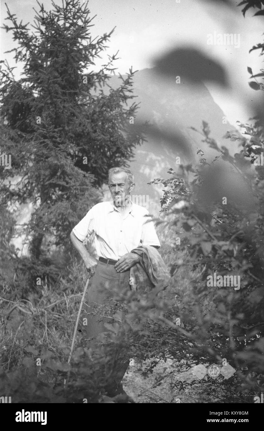 Godec Mešič Anton, Žaga 1952 Stock Photo