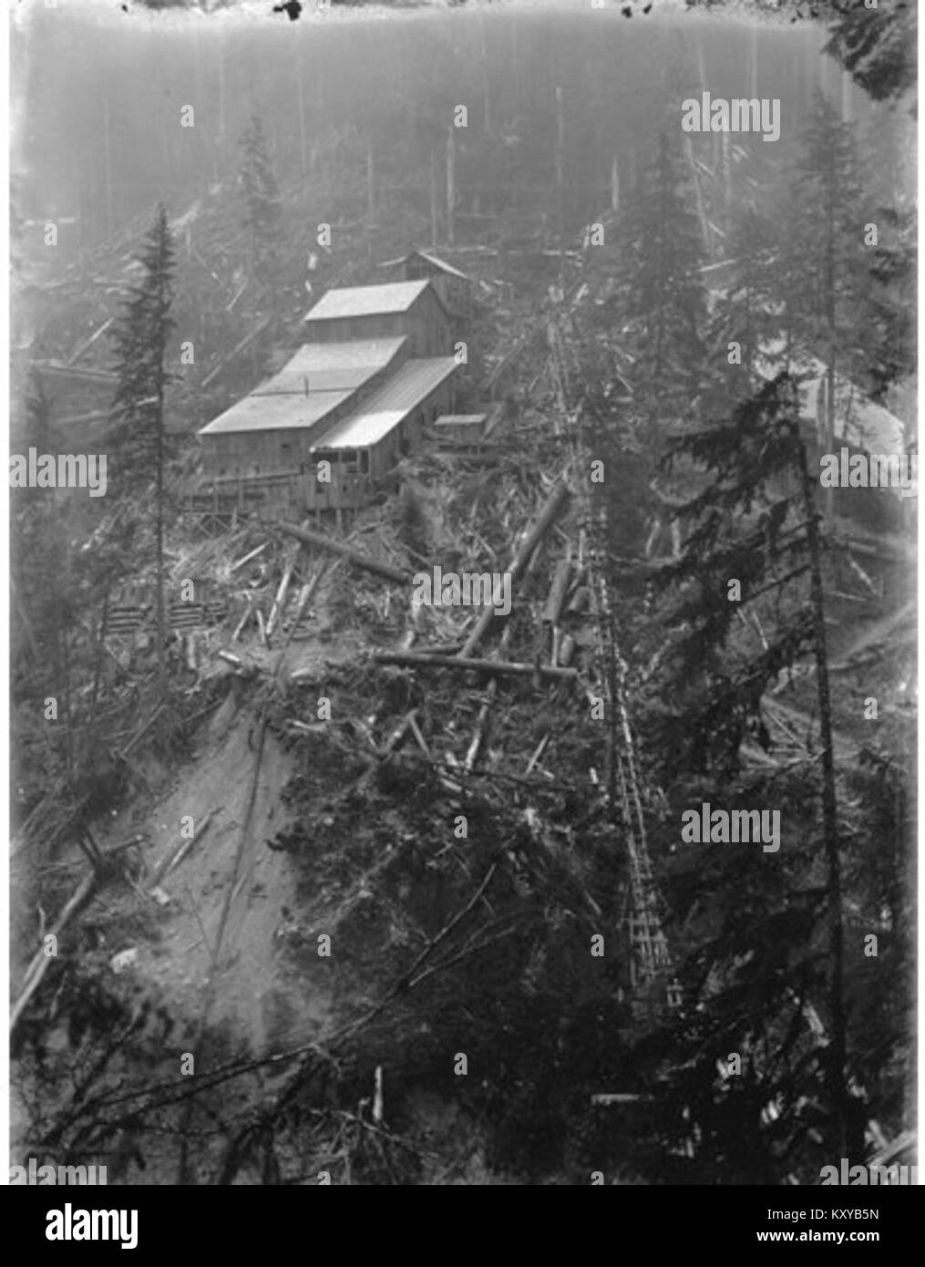 Excelsior Gold Mining Company mine and mill near Bellingham, Washington, 1902 (KIEHL 57) Stock Photo