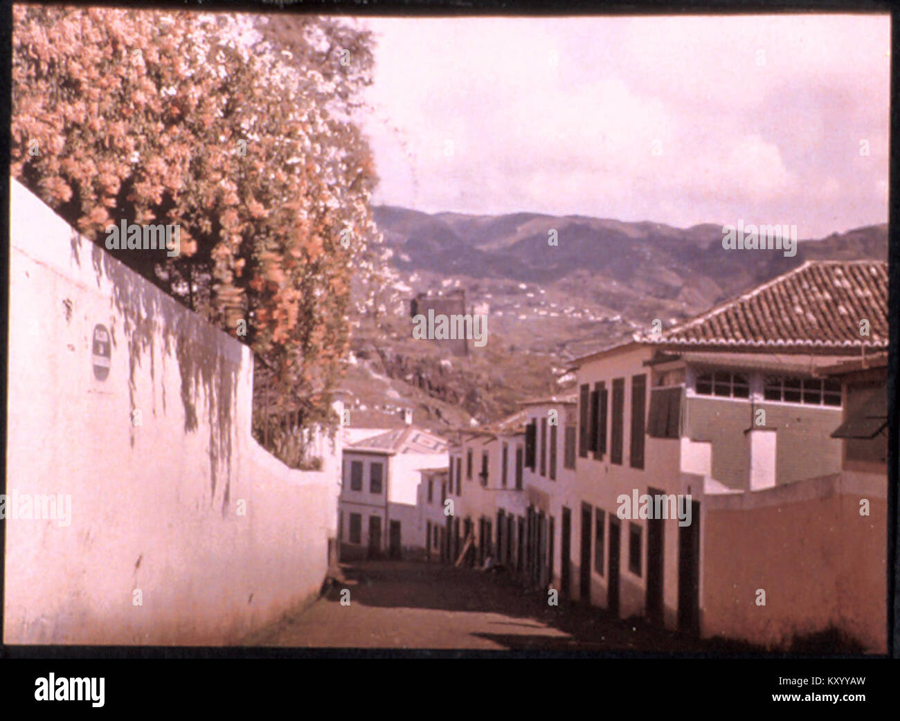 Hillside Street in Madeira, by Sarah Angelina Acland, c.1910 Stock