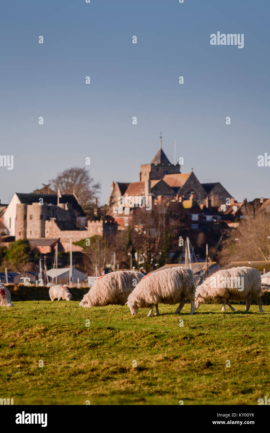 The town of Rye viewed from the south east across fields. Stock Photo