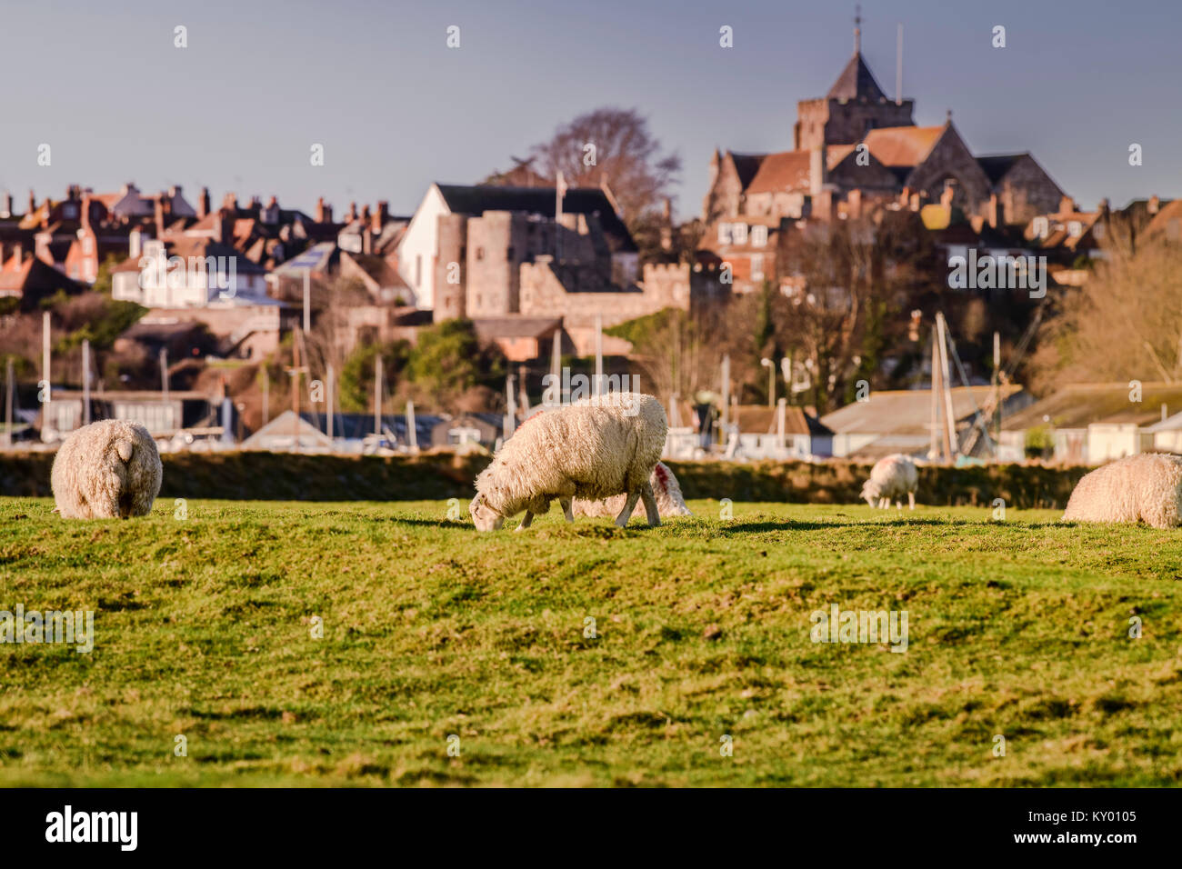 Rye hill hires stock photography and images Alamy