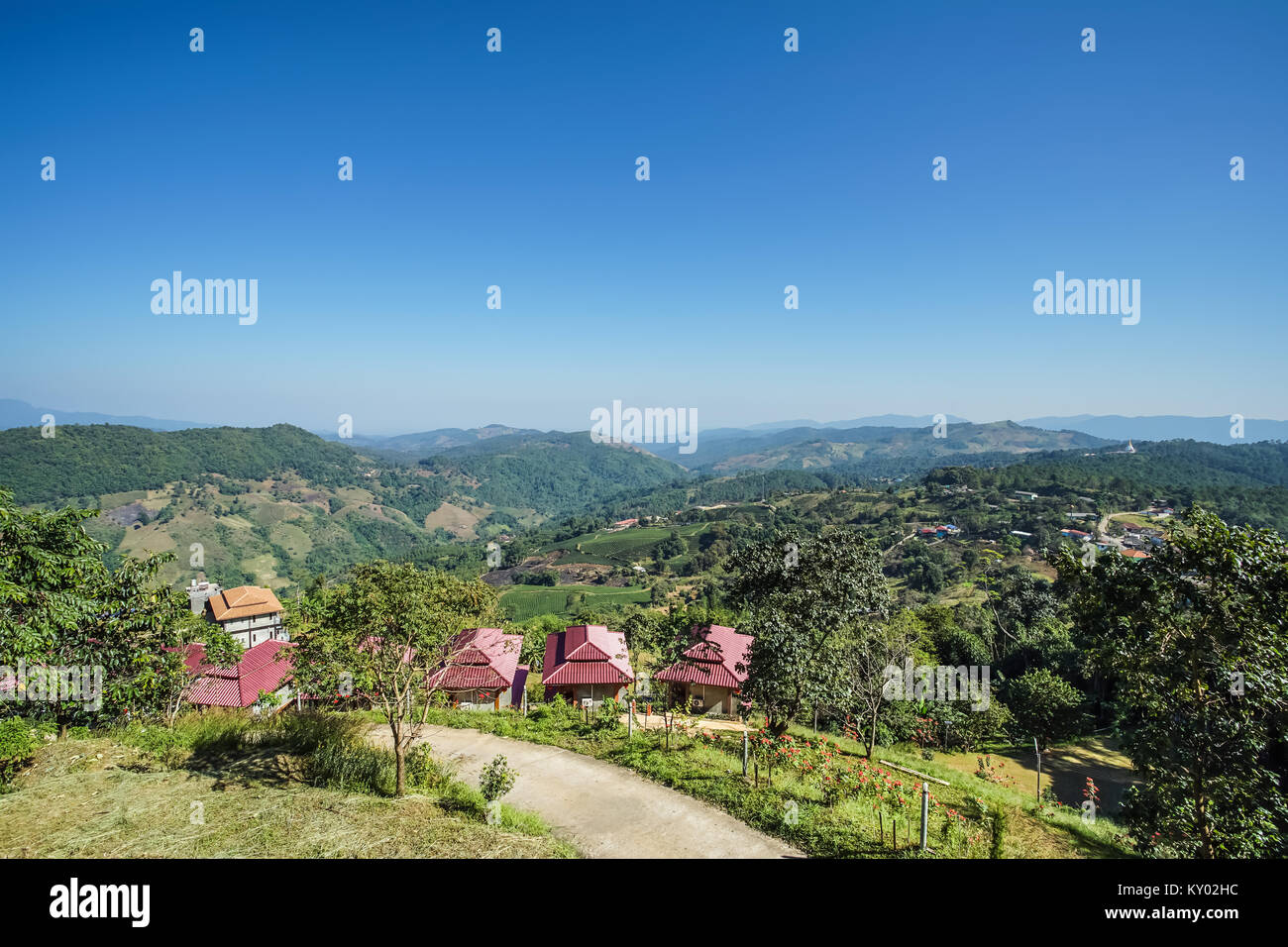 Homes in the mountain with tea plantation blue sky background Stock Photo