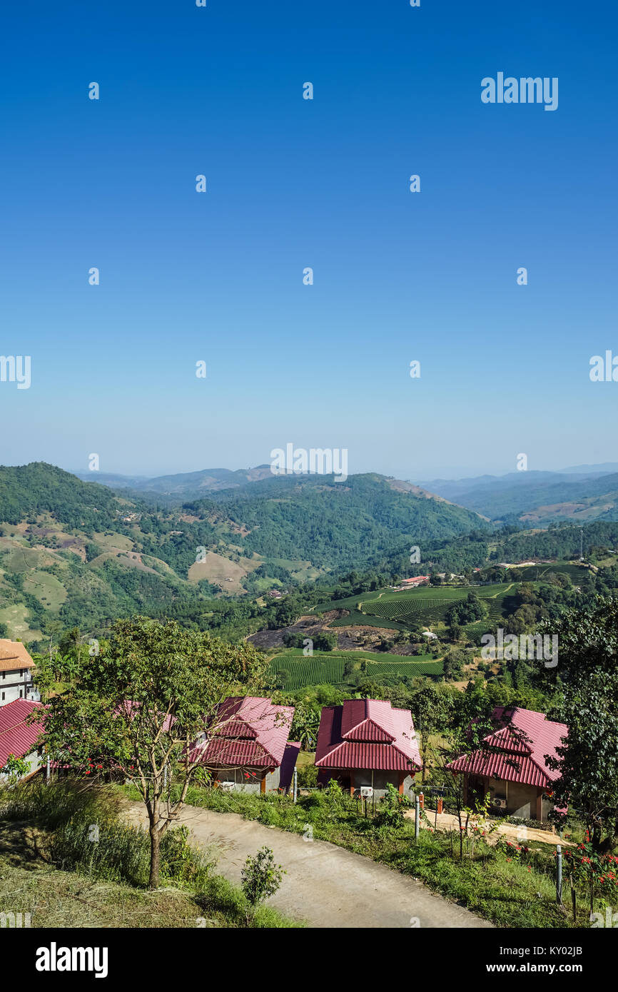 Homes in the mountain with tea plantation blue sky background Stock Photo