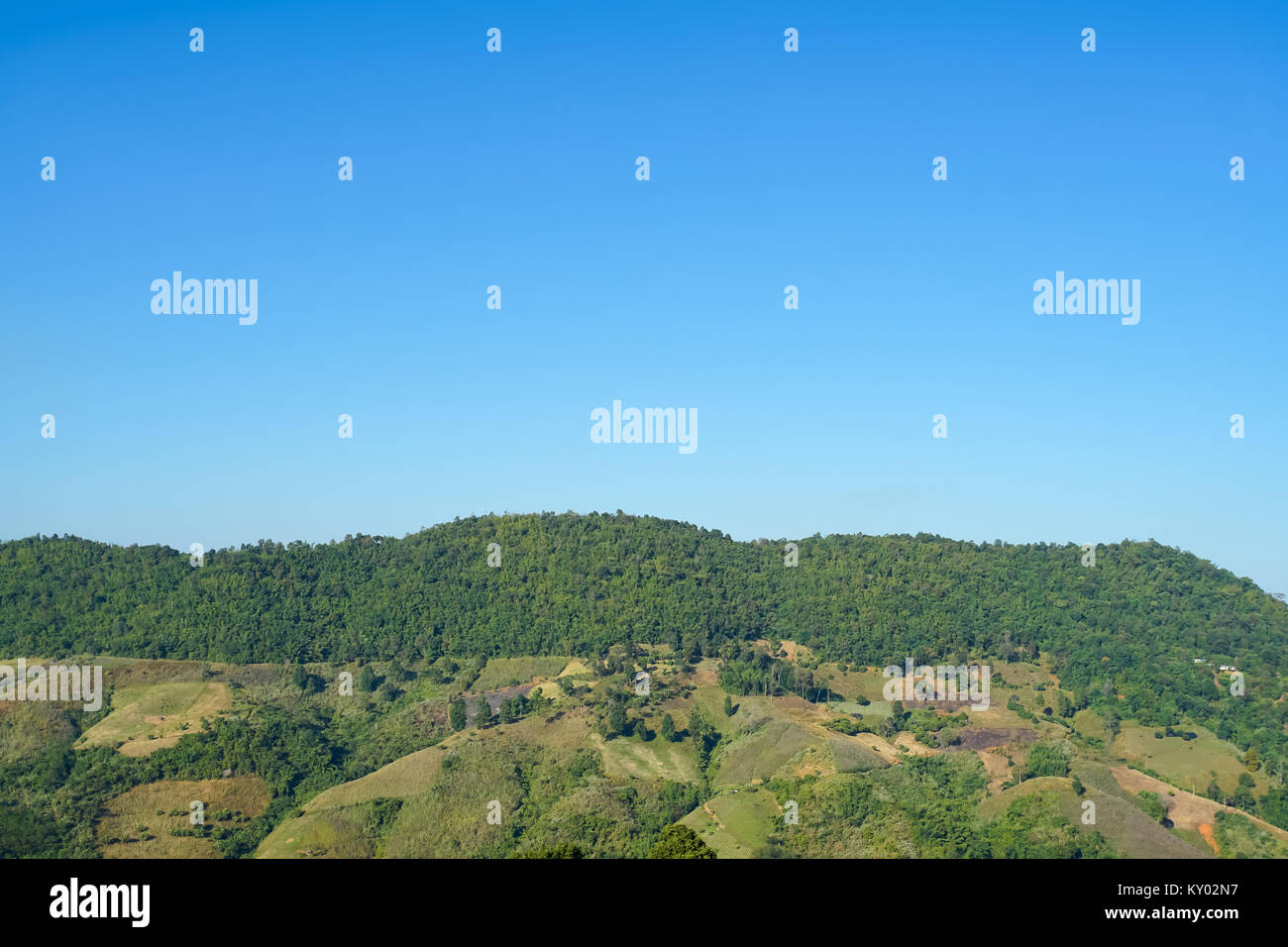 Nature view mountain, forest and blue sky in Doi Mae Salong, Chiang Rai Thailand Stock Photo