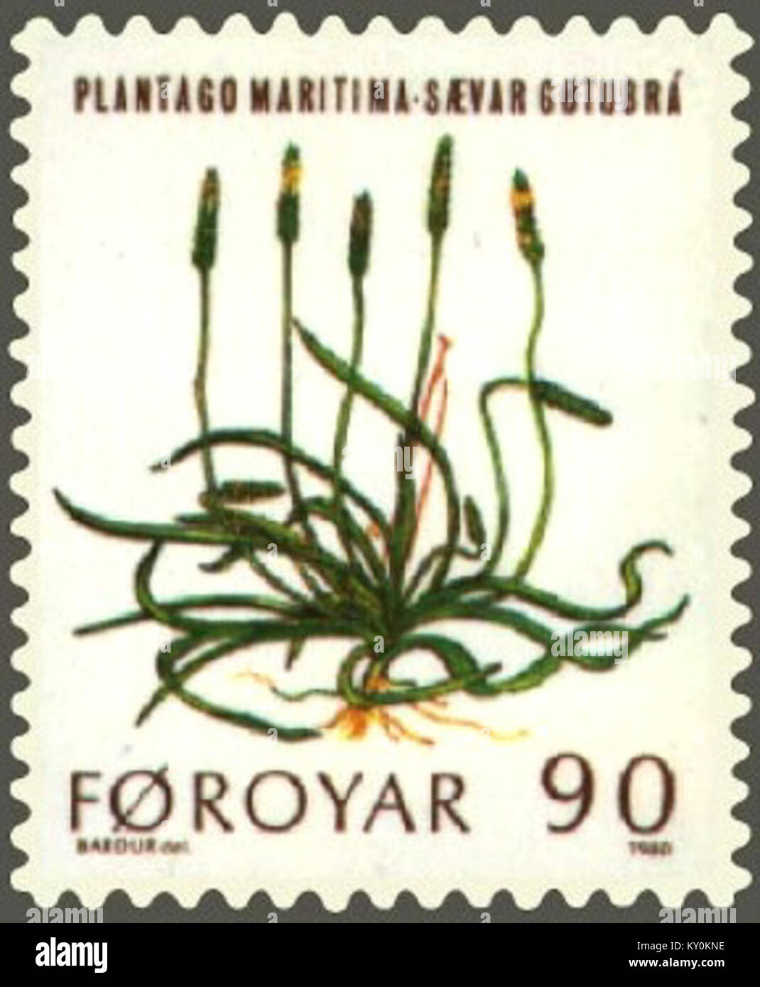 Local Botany Postage stamp from the Faroe Islands depicting mountain flowers ...