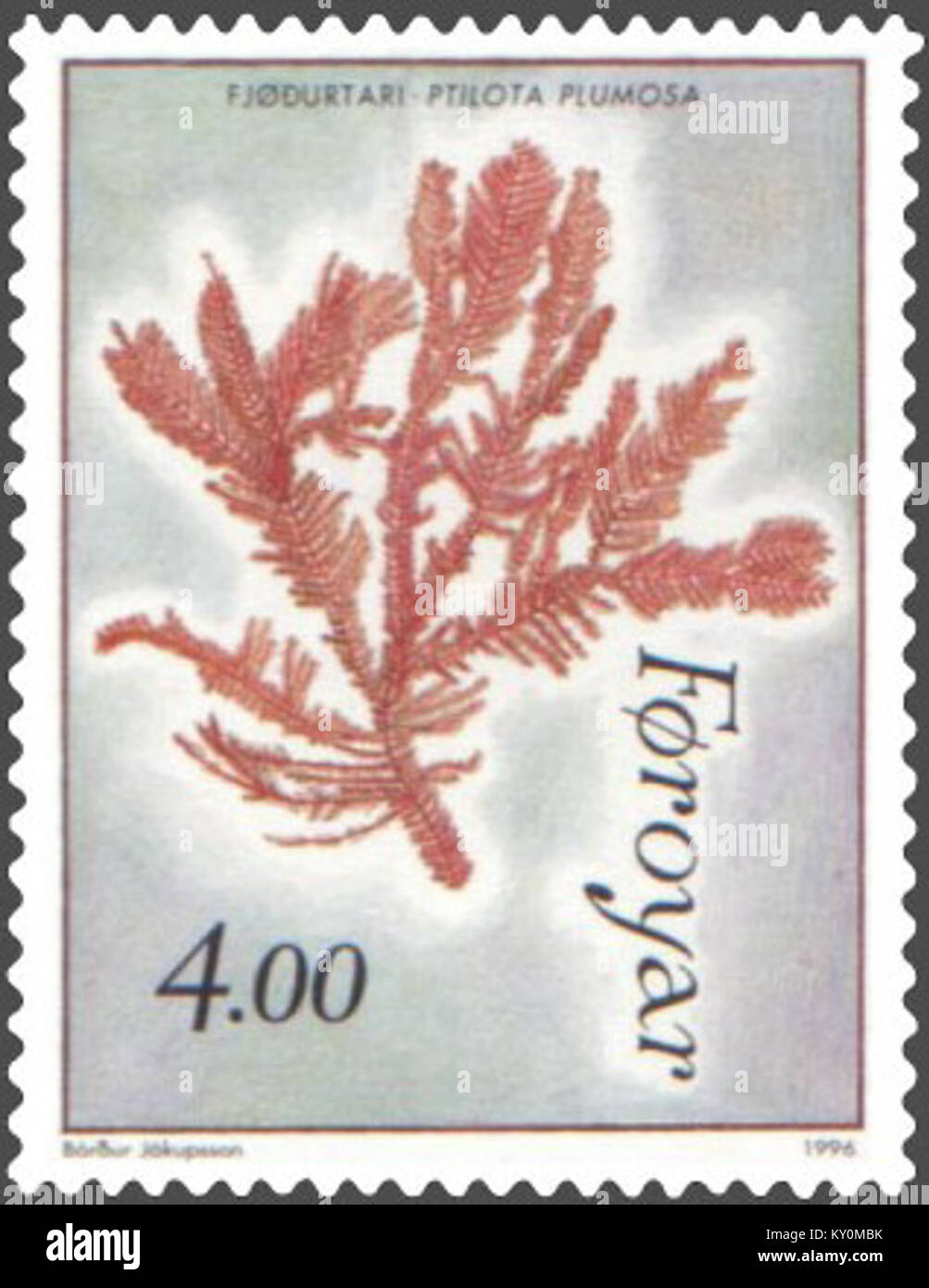 Faroe stamp 283 seaweed - thallus (Ptilota plumosa) Stock Photo
