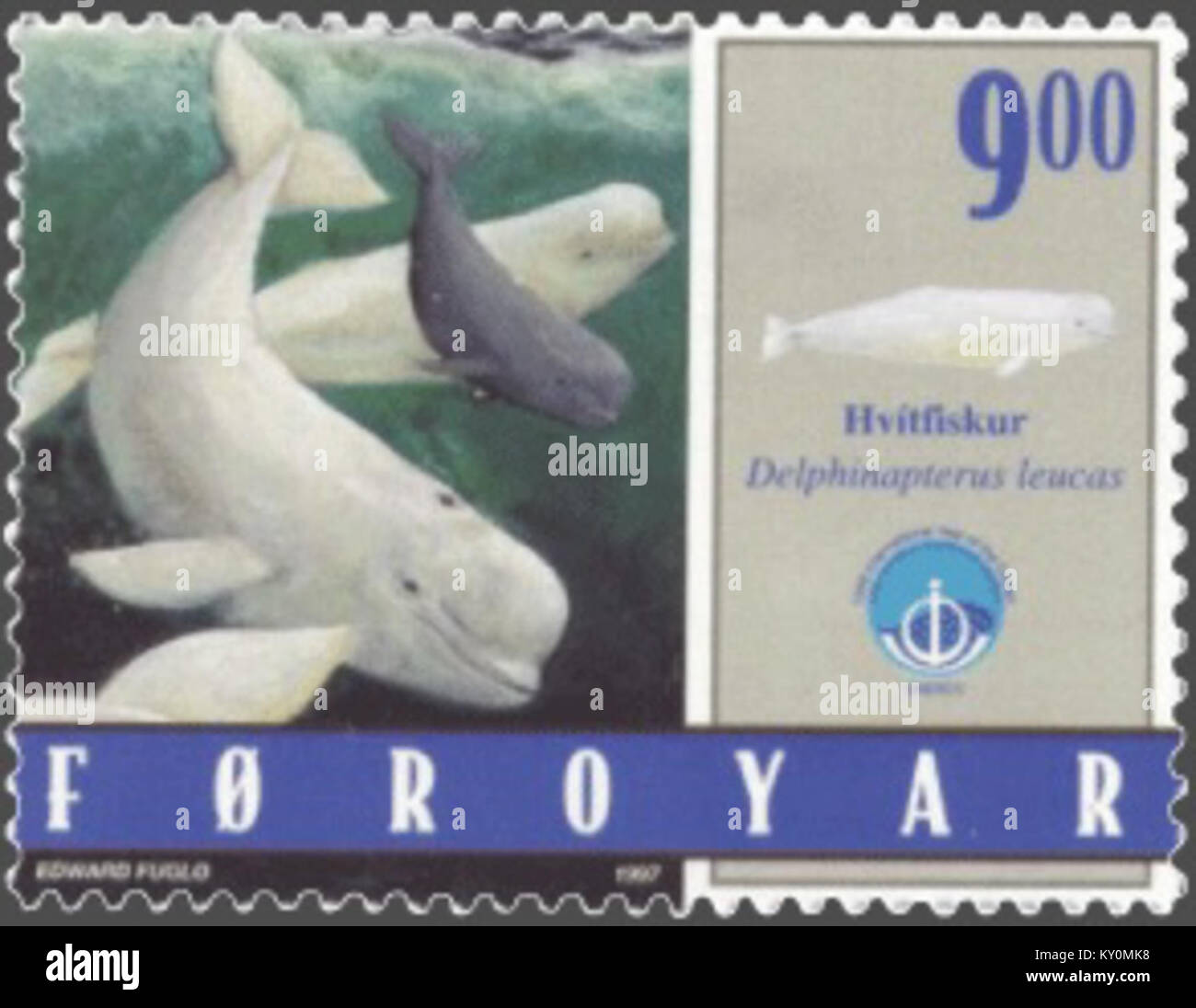 A stamp from the Faroe Islands depicting a white whale (Delphinapterus ...