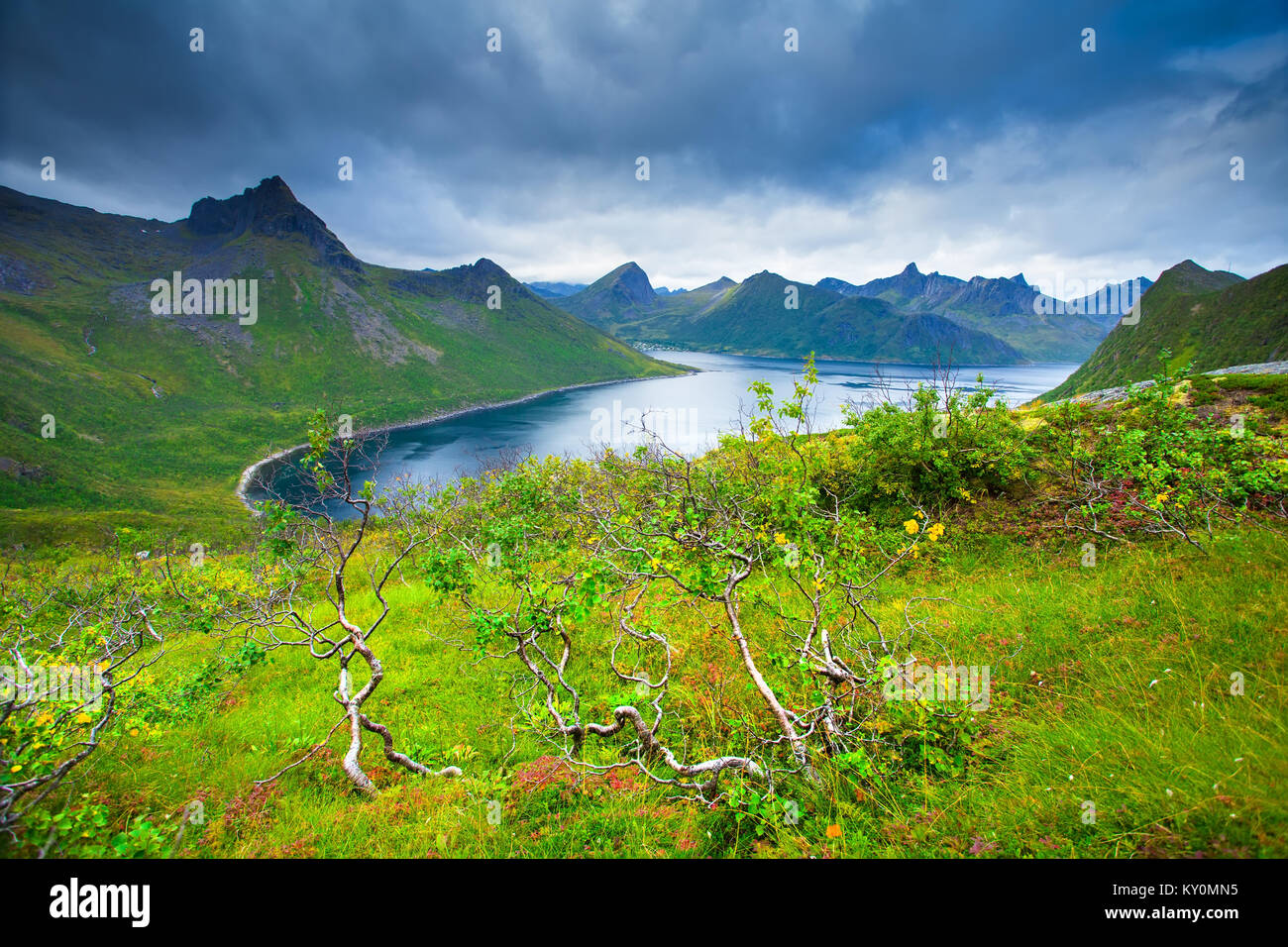 Scenic norway day. Green hills of norway mountains. North summer landscape with norwagian fjords. Beautiful northern nature. Stock Photo