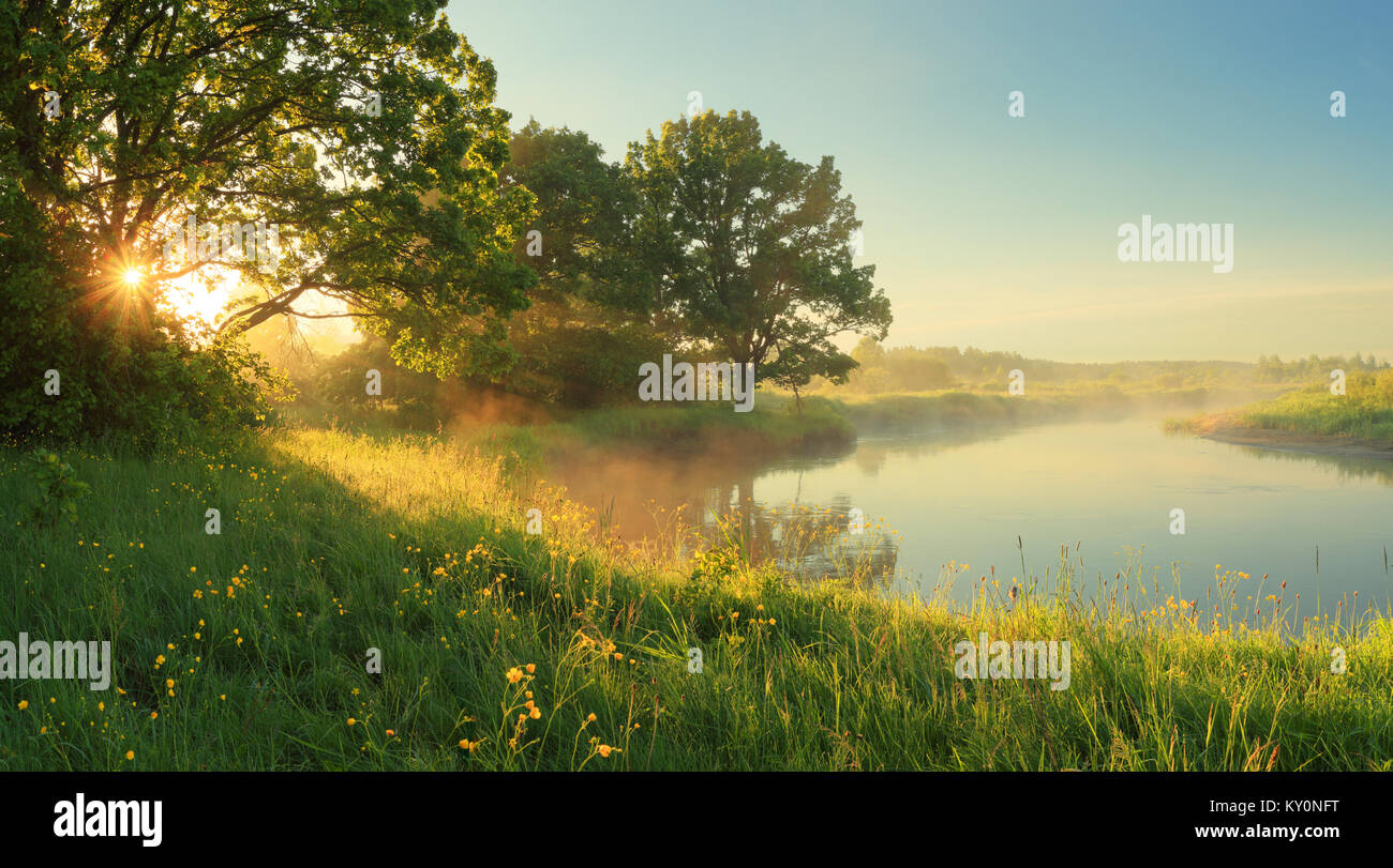 Sunny spring morning on meadow near river. Scenic rural landscape. Spring sunny background. Stock Photo