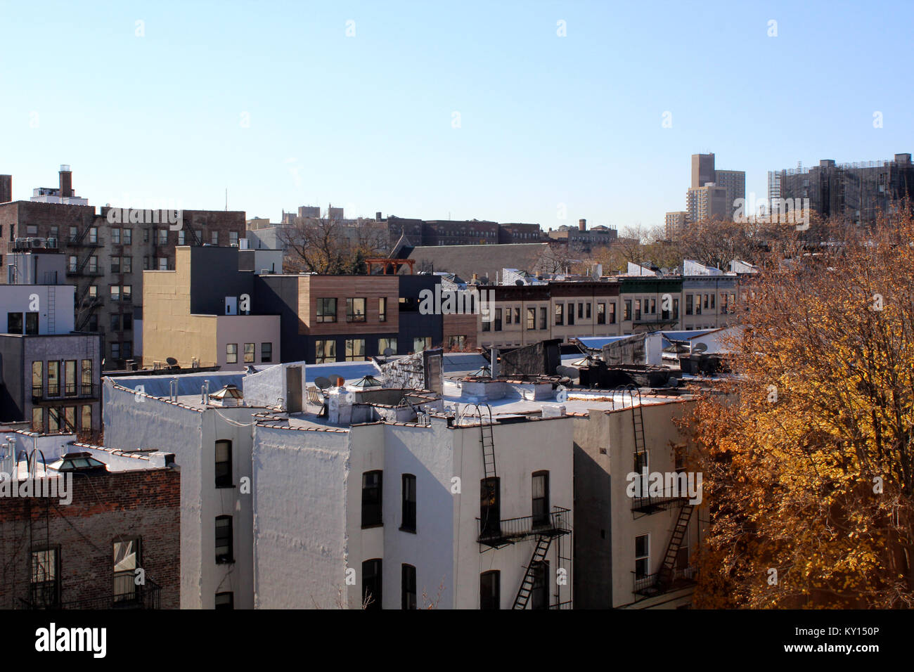 Brooklyn rooftops, Crown Heights, Brooklyn Stock Photo Alamy
