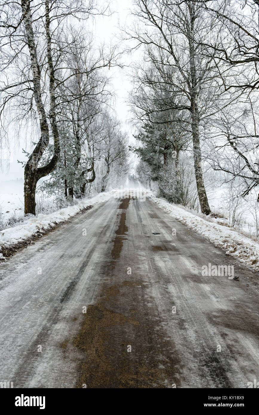 car tire tracks on winter road in deep snow in lonely forest Stock ...