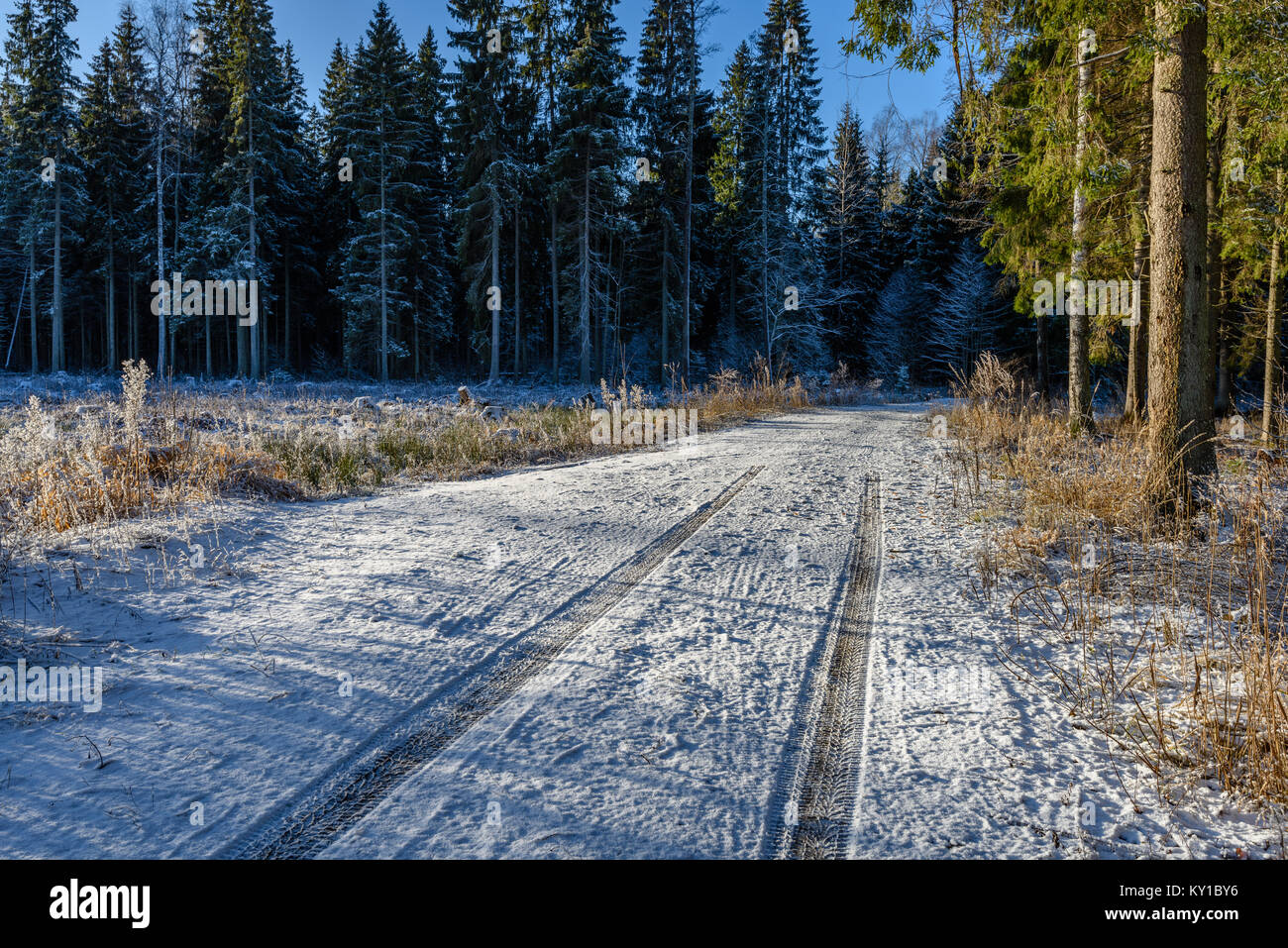 car tire tracks on winter road in deep snow in lonely forest Stock ...