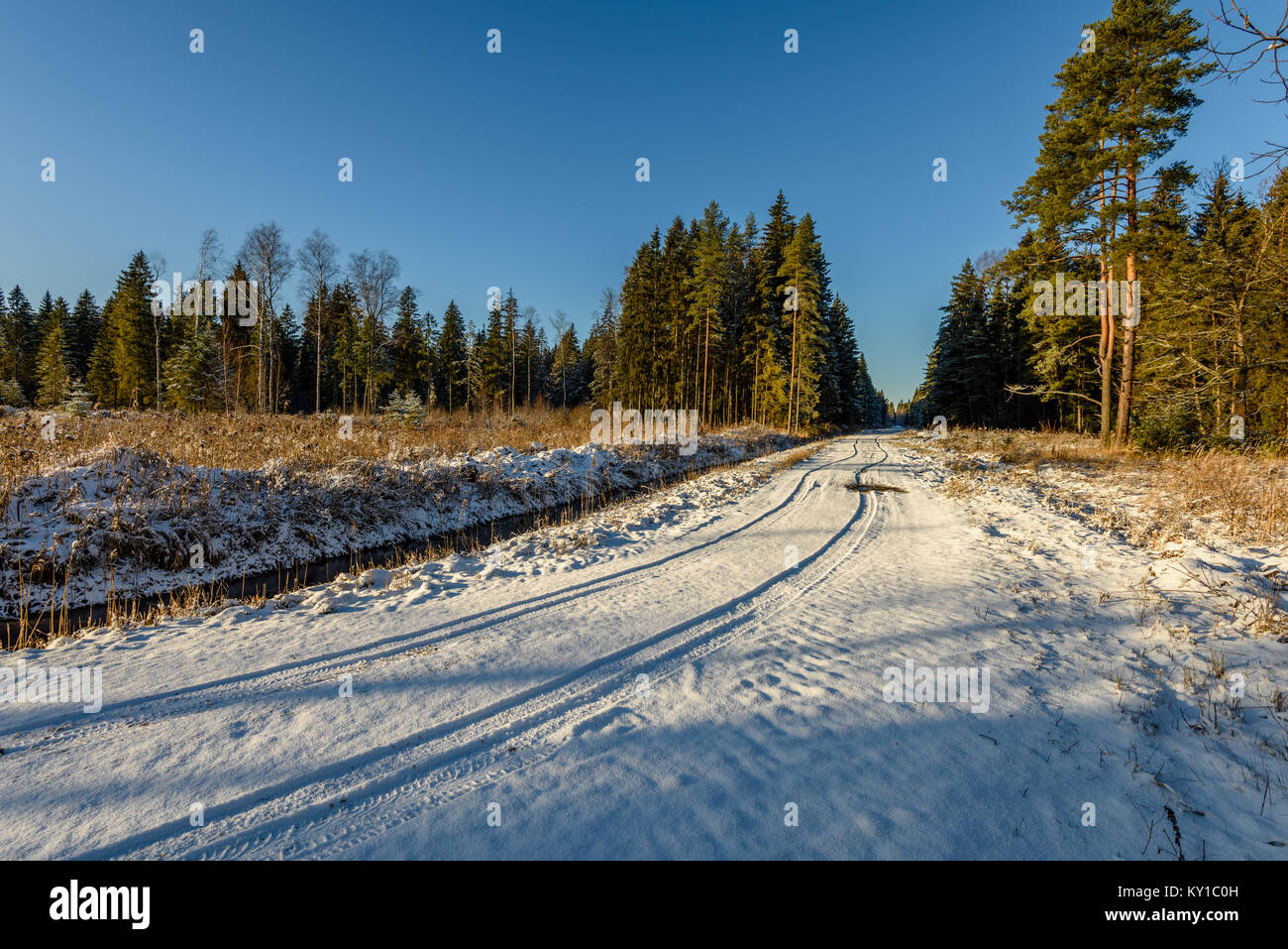 car tire tracks on winter road in deep snow in lonely forest Stock ...