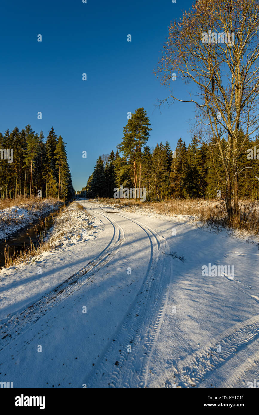car tire tracks on winter road in deep snow in lonely forest Stock ...