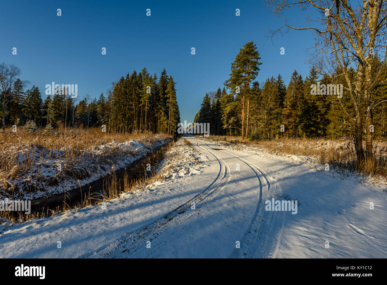 car tire tracks on winter road in deep snow in lonely forest Stock ...
