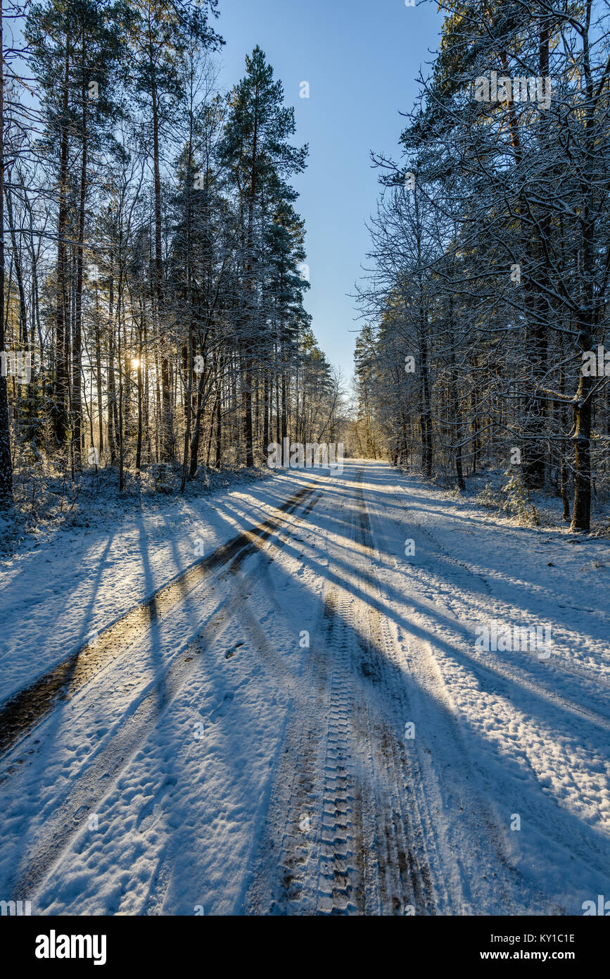 car tire tracks on winter road in deep snow in lonely forest Stock ...