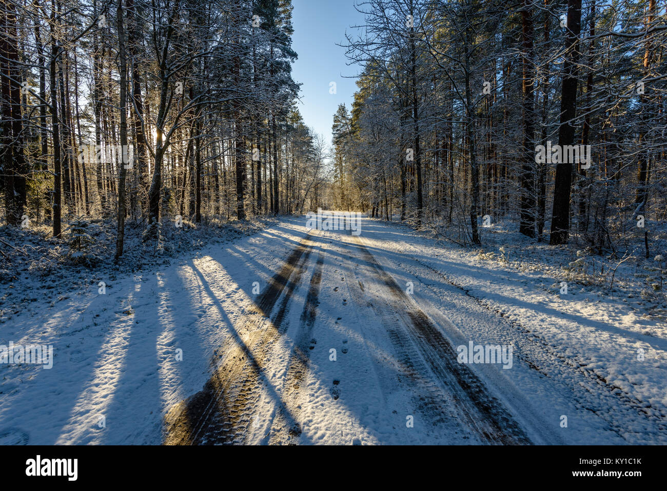 car tire tracks on winter road in deep snow in lonely forest Stock ...