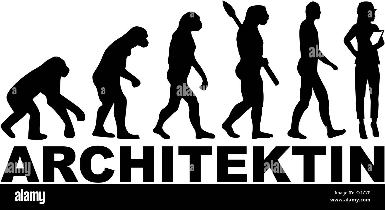 Architect evolution with female job title Stock Photo Alamy