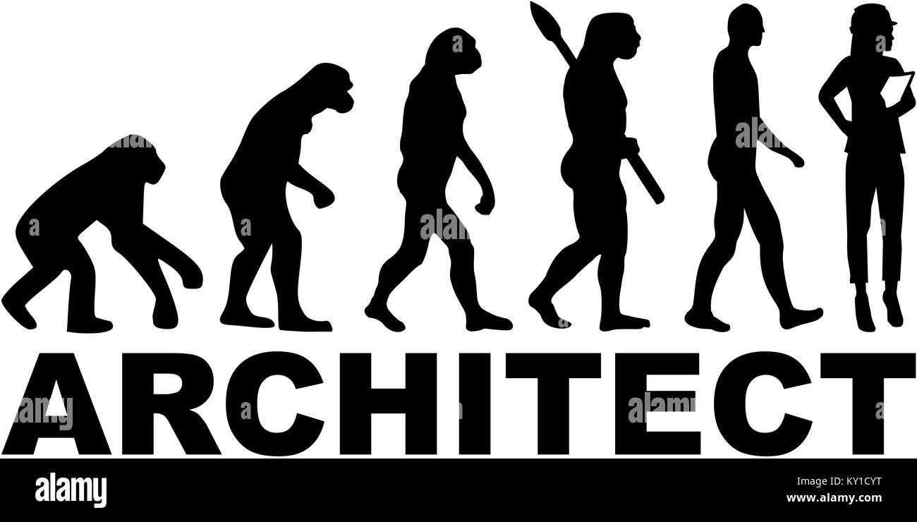 Female architect evolution Stock Photo