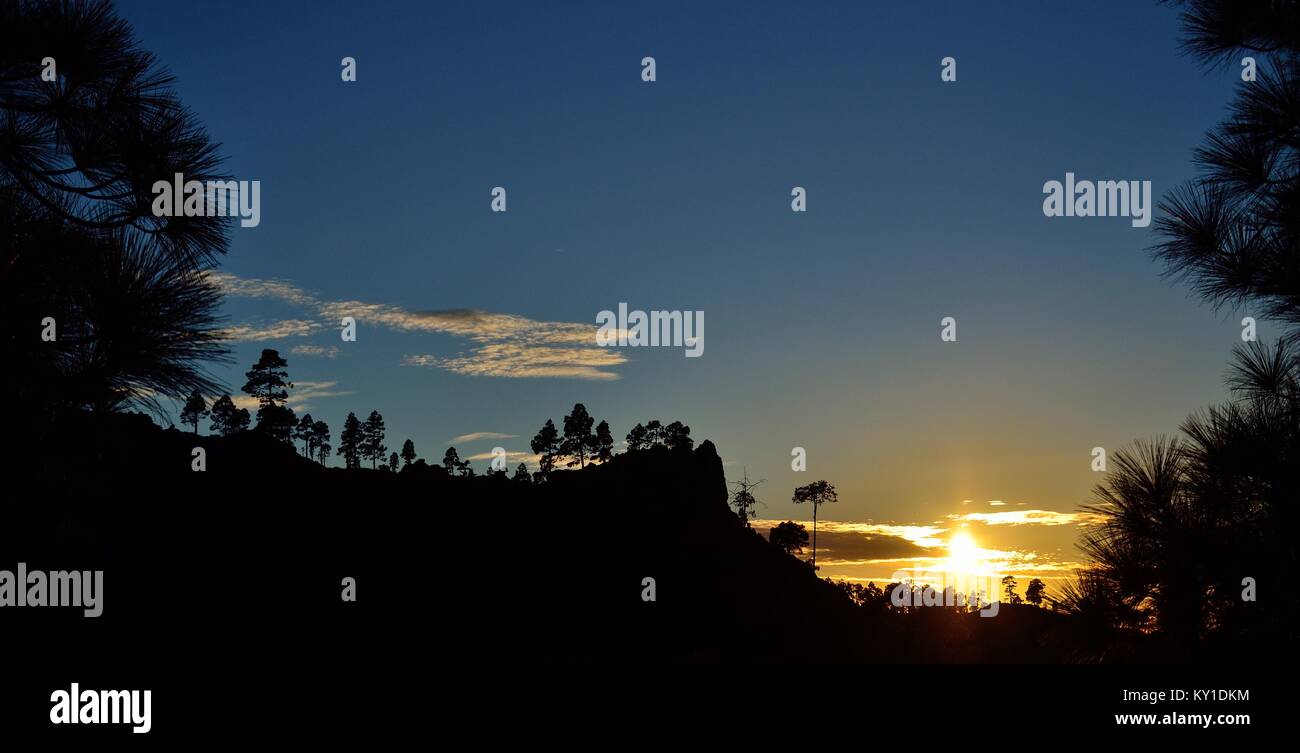 Beautiful sunset among pine trees, Pilancones, mountains of Gran canaria, Canary islands Stock Photo