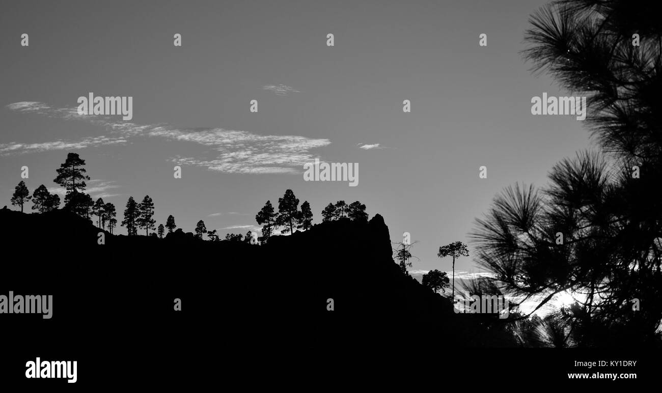 Natural park of Pilancones at sunset with monochrome effect, Gran canaria, Canary islands Stock Photo