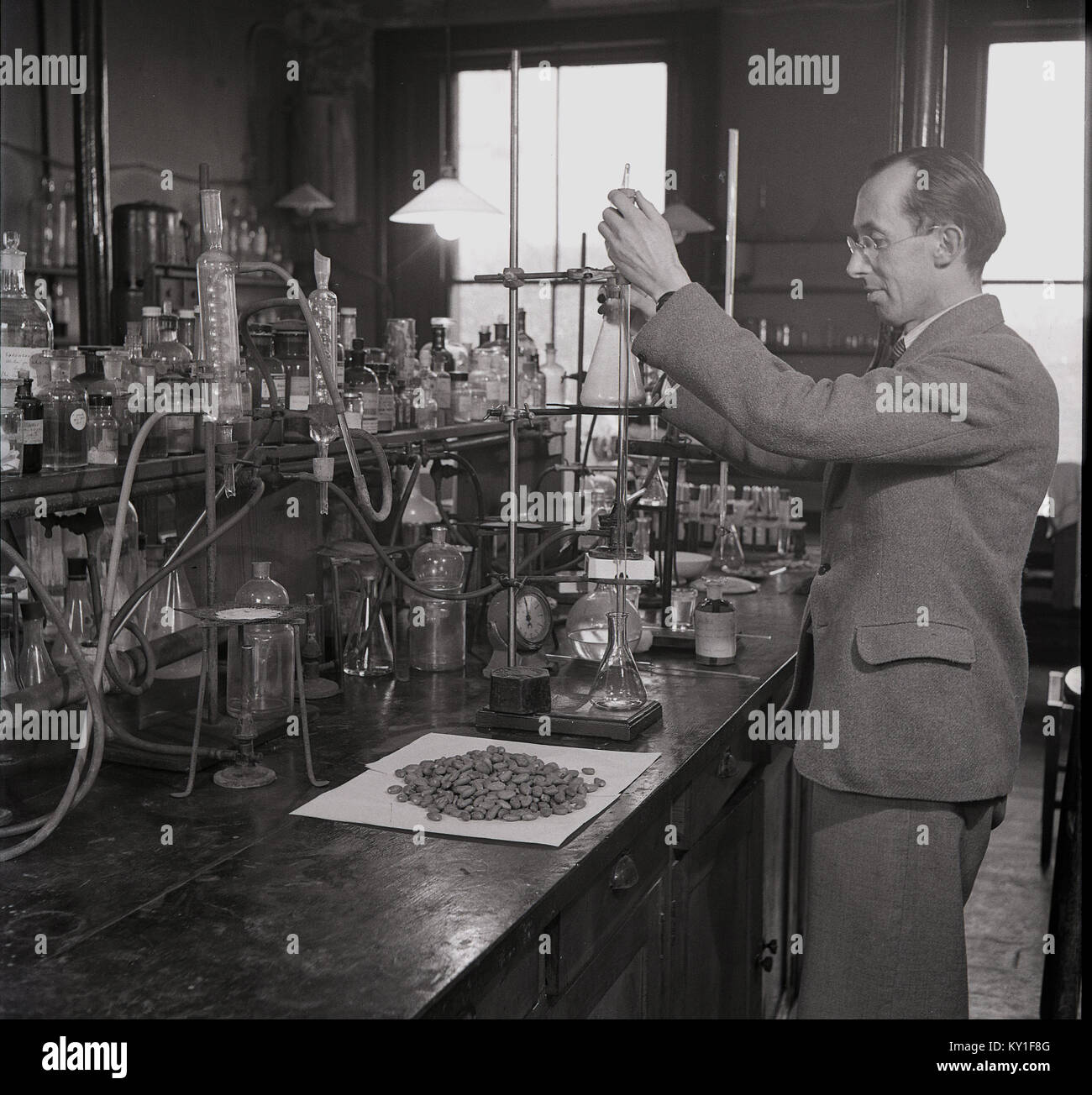 1950s, historical picture, a male scientist at a workbench in a laboratory conducting experiments into the chemical properties of raw coca beans. Stock Photo
