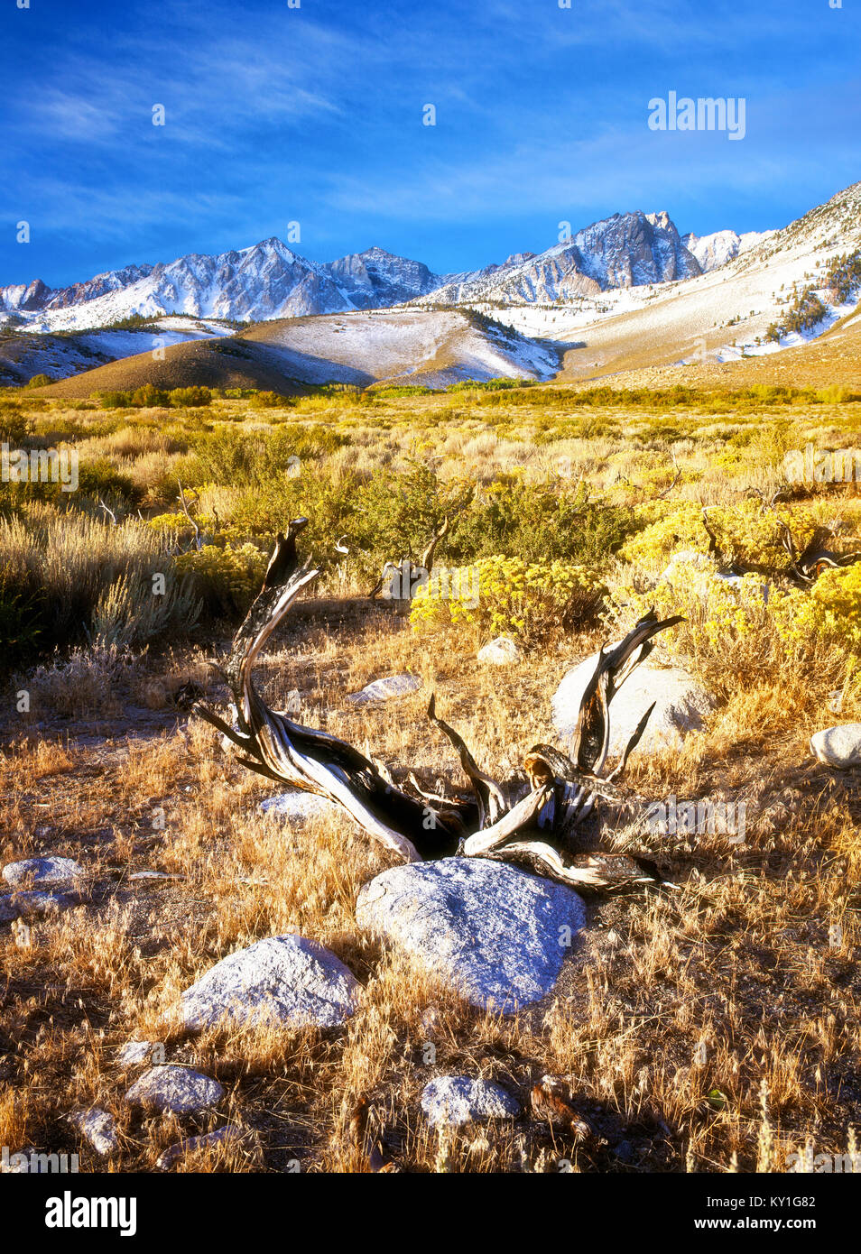 Buttermilk hills is a popular spot for bouldering near Bishop CA Stock Photo