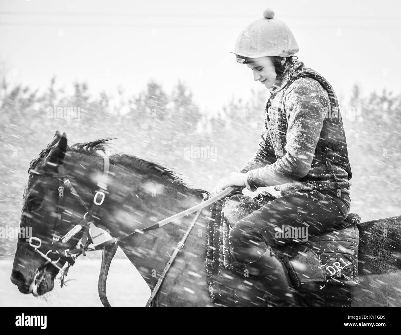 Racehorses Stock Photo