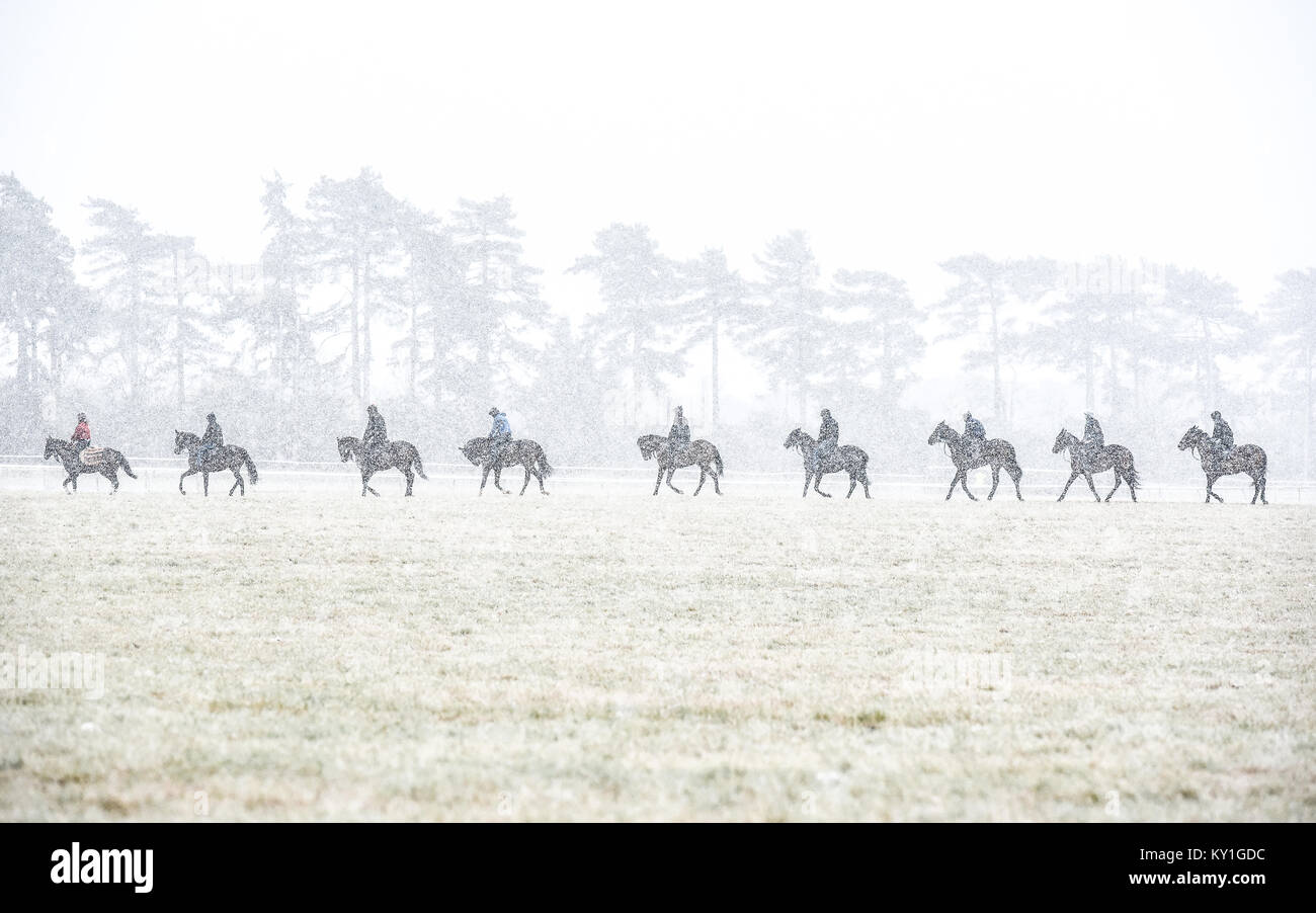 Racehorses Stock Photo