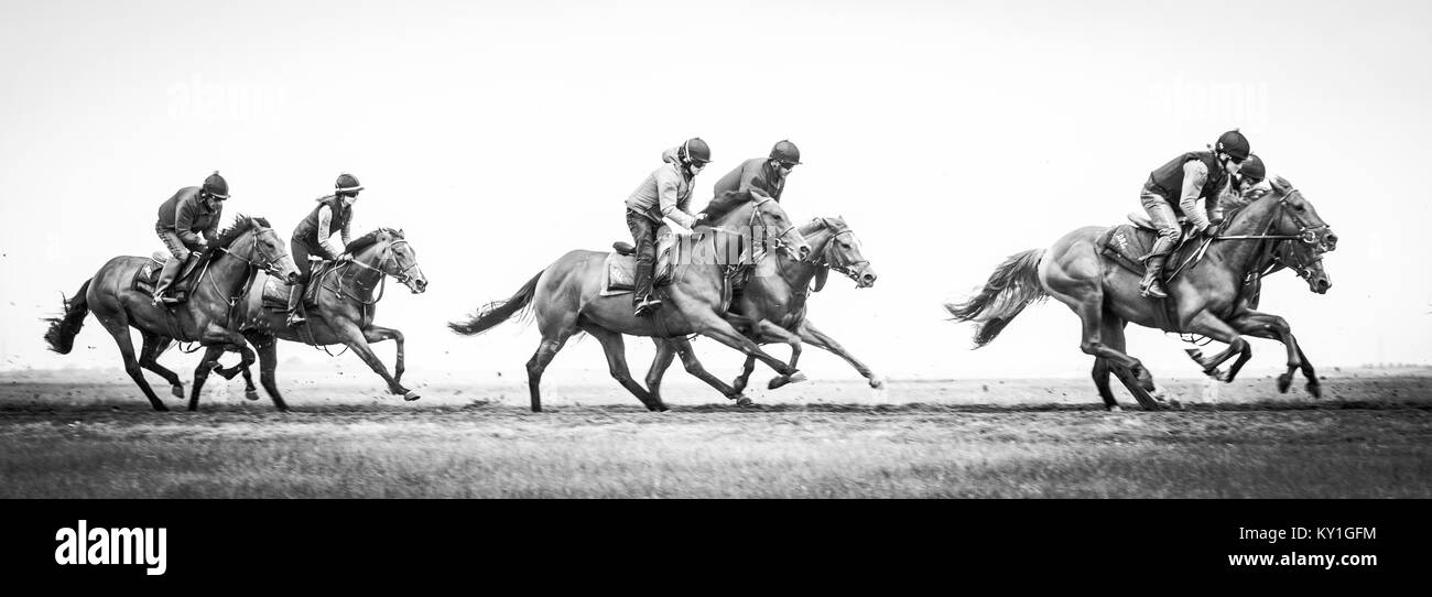 Racehorses Stock Photo