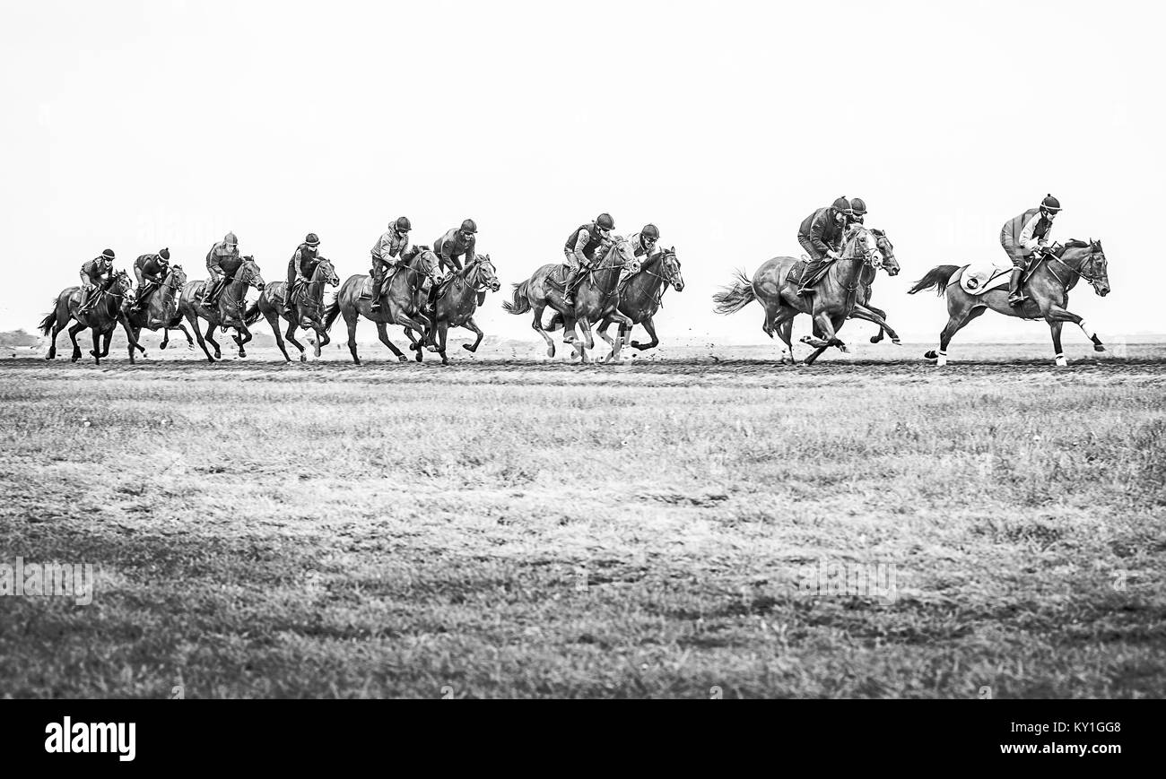 Racehorses Stock Photo