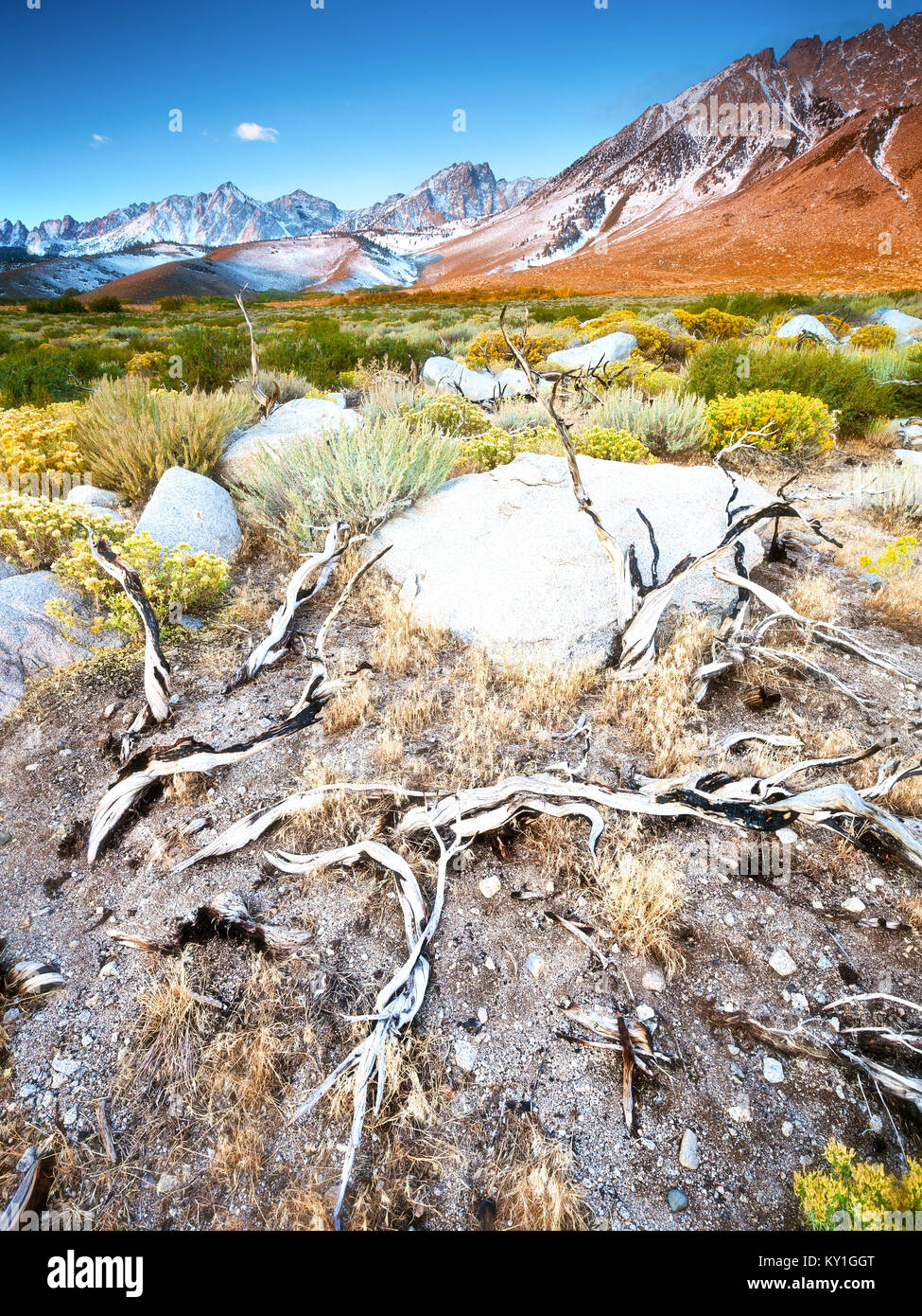 Buttermilk hills is a popular spot for bouldering near Bishop CA Stock Photo