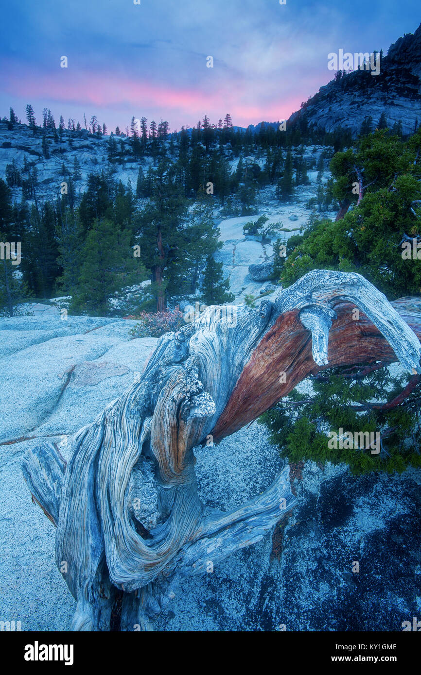 Cathedral Peak is a popular peak in the Toulumne meadows area in Yosemite National Park. Stock Photo