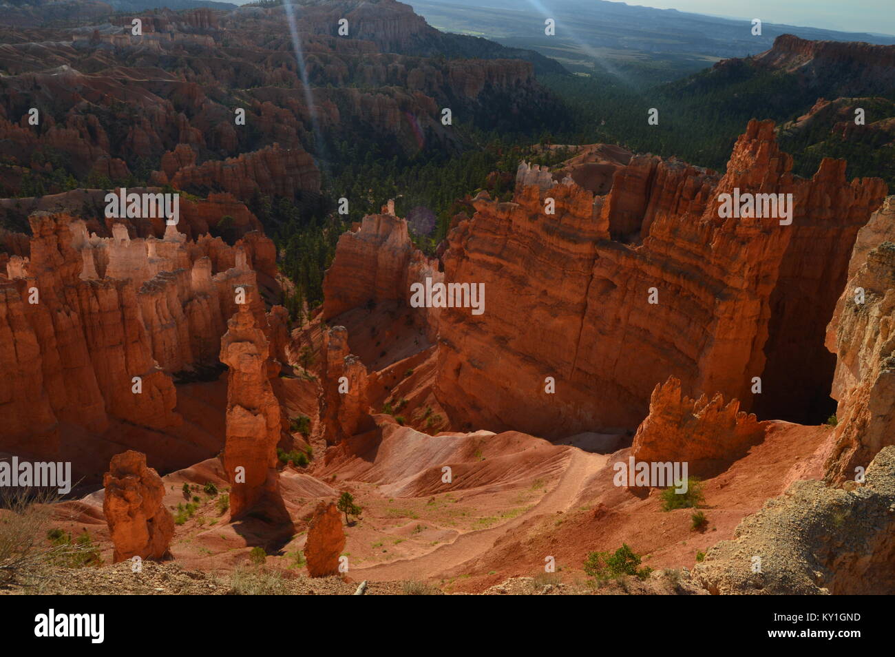 Thor's Hammers At Dawn In Bryce Canyon Formations Of Hoodos. Geology