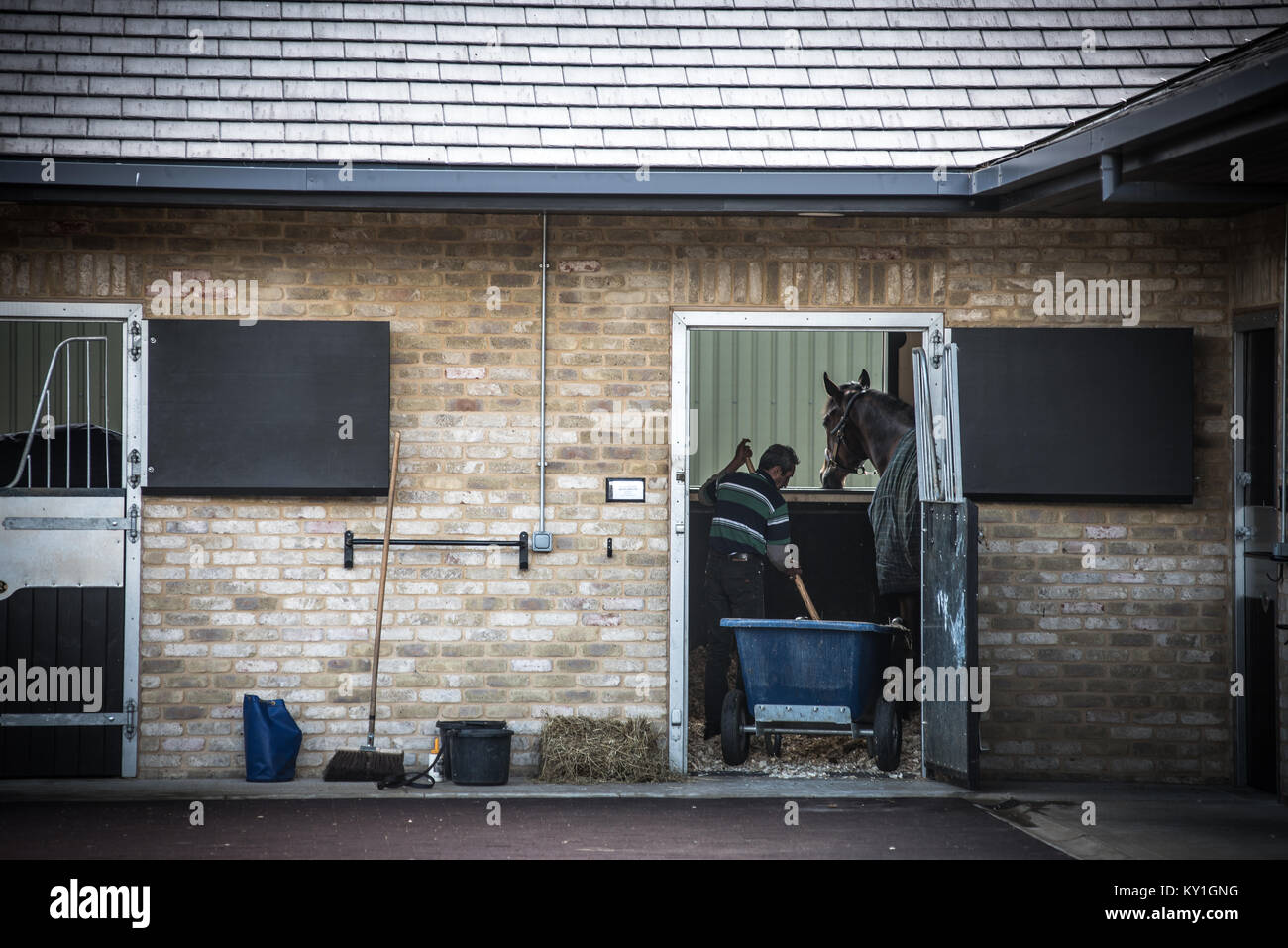 Racehorses Stock Photo