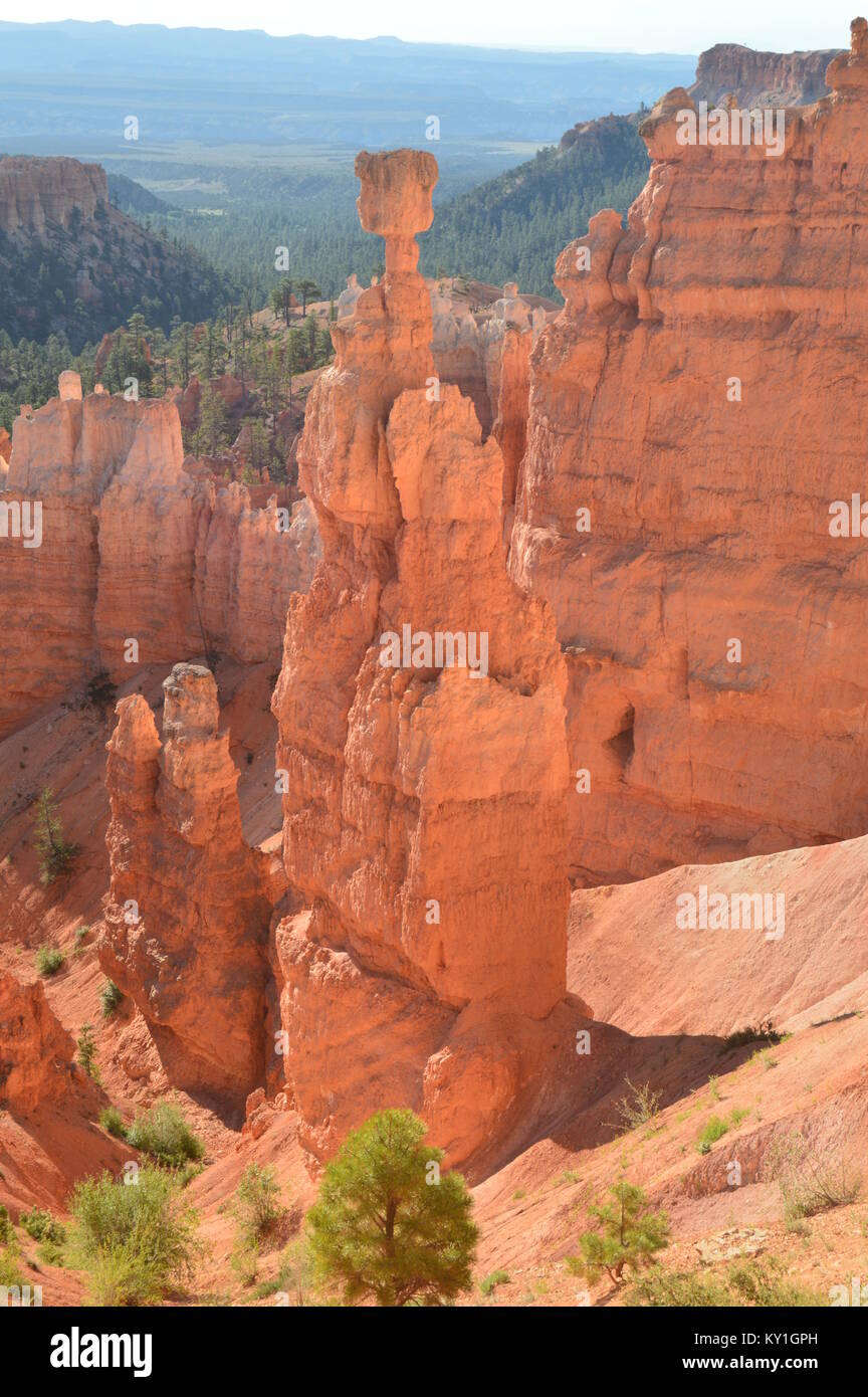 Thor's Hammers In Bryce Canyon Formations Of Hoodos. Geology. Travel
